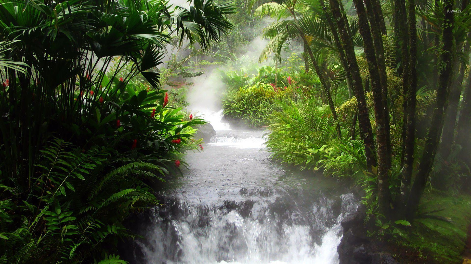 rainforest waterfall wallpapers waterfall in the jungle 16143 1920