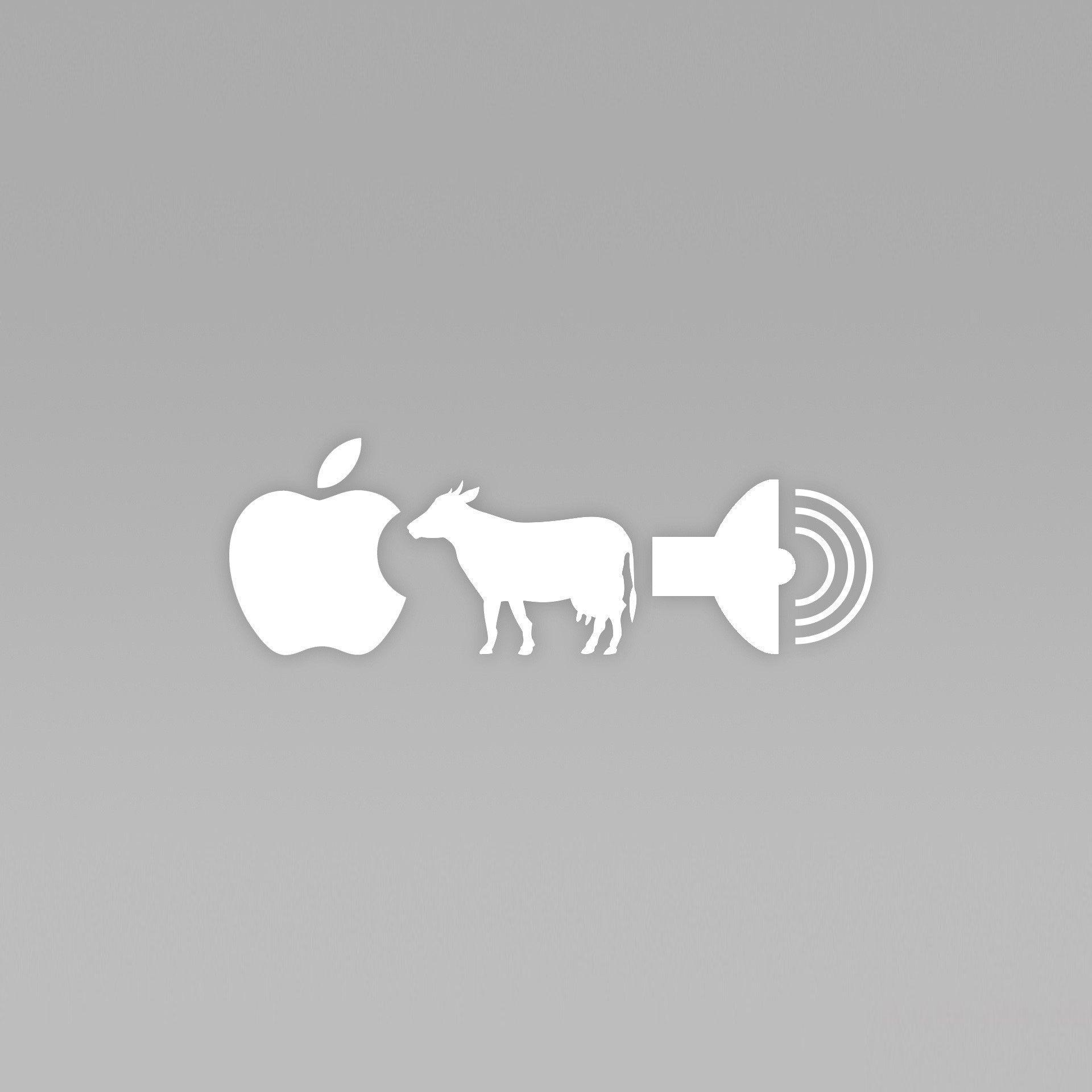 Funny Apple Cow Ipad Wallpaper