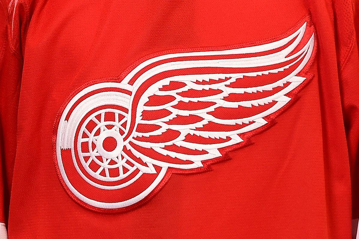 NHL Draft 2017: Detroit Red Wings select Reilly Webb with No. 164