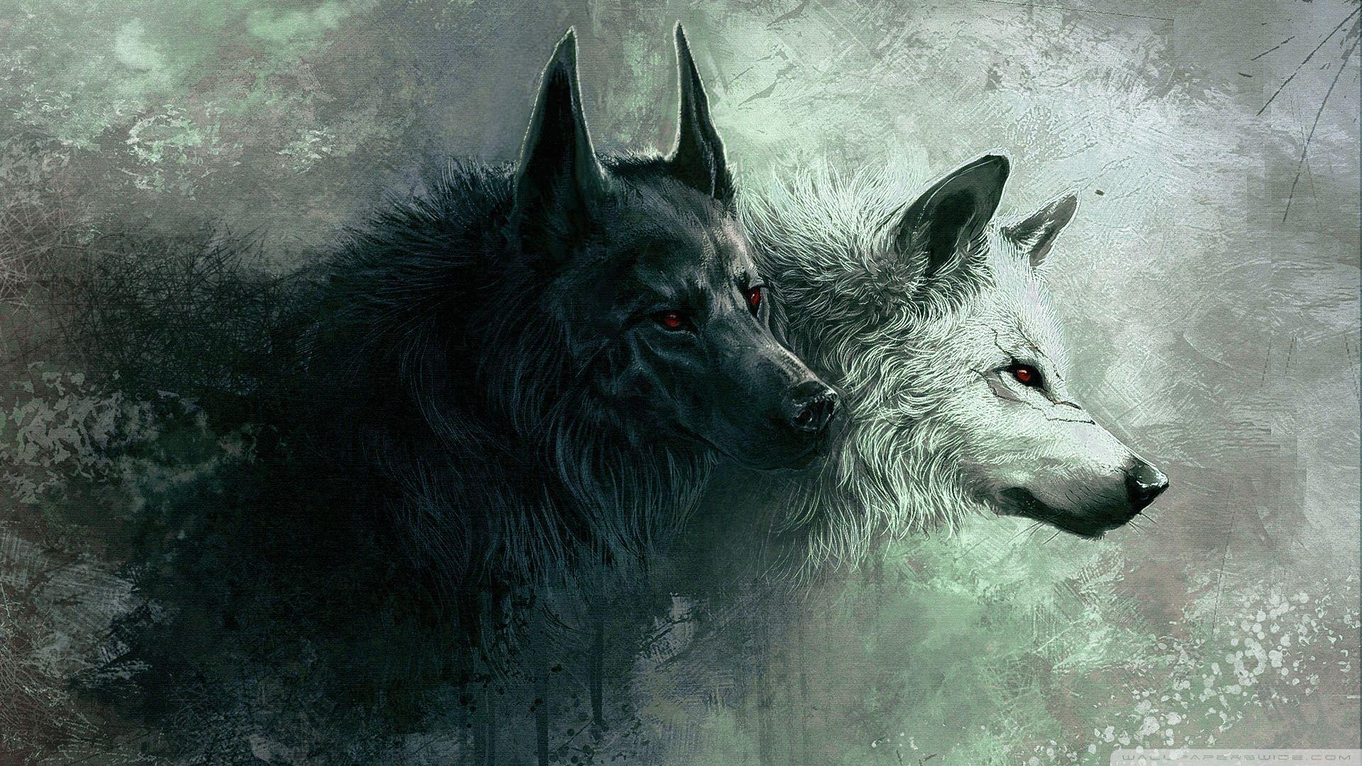 wolf Full HD Wallpaper and Background Imagex1080