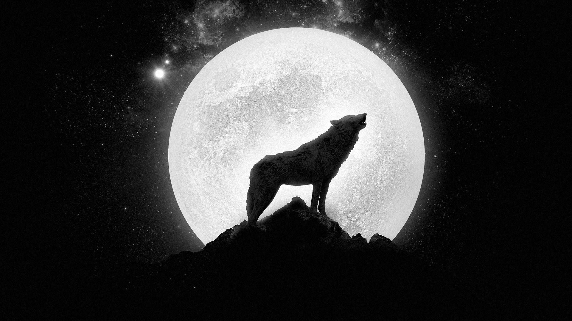 Free Howling Wolf Wallpaper HD Resolution