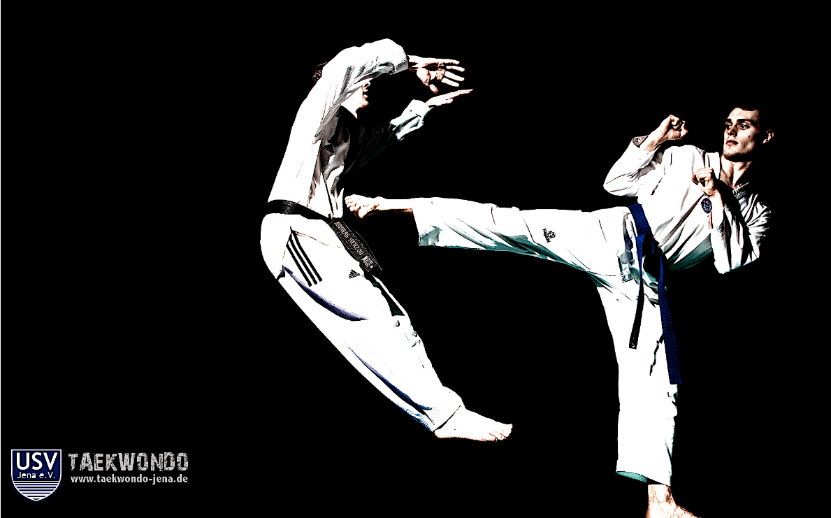 Taekwondo Quotes Wallpaper on QuotesTopics