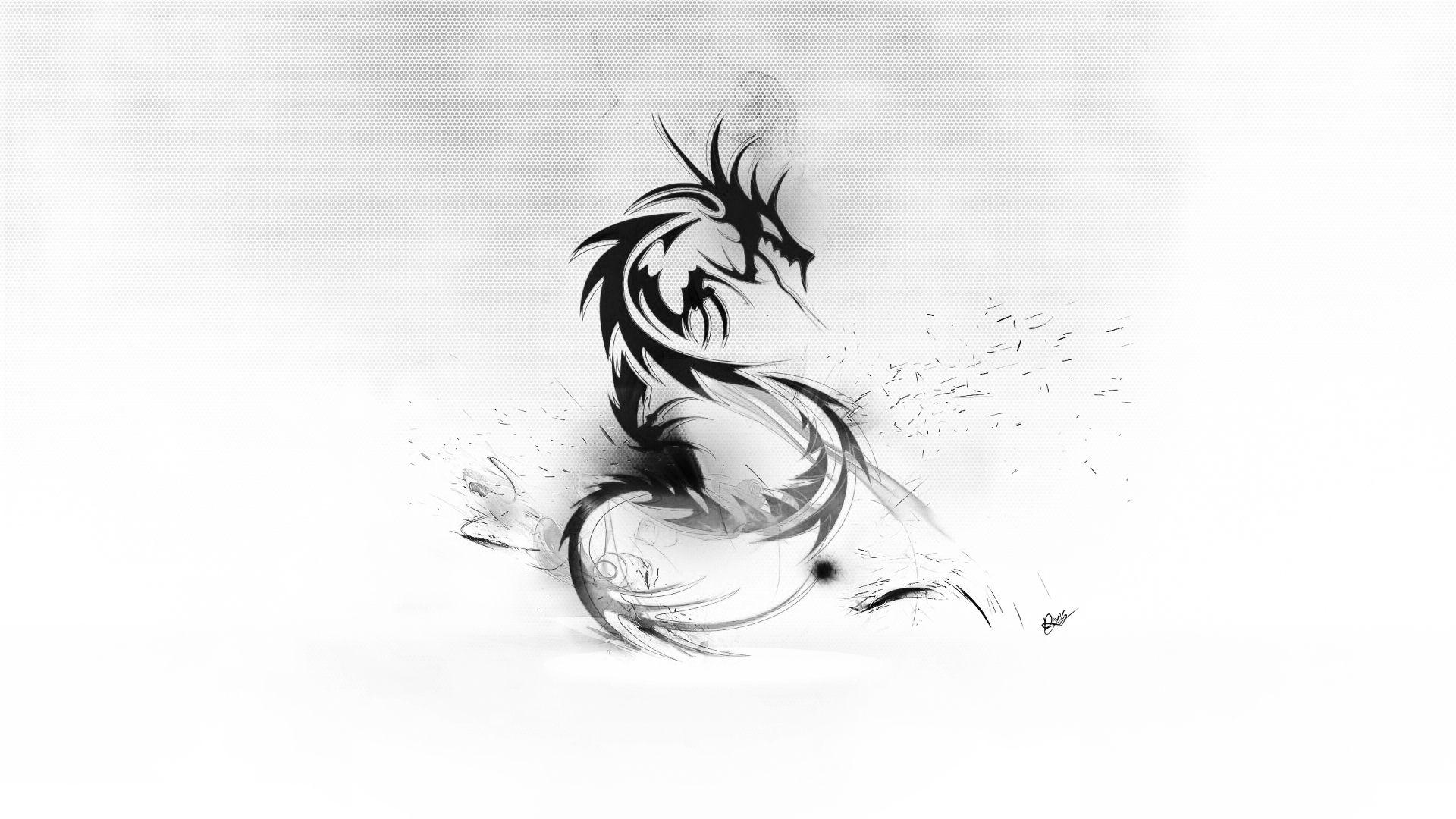 black and white dragon wallpaper, dragon wallpaper