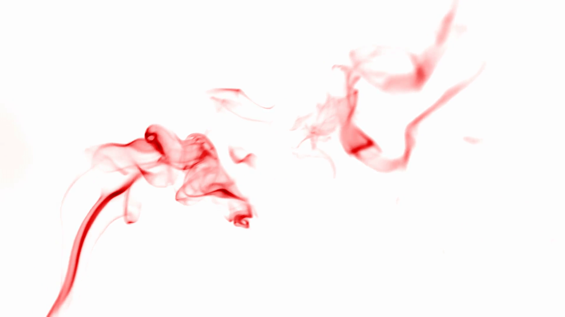 Curved line of red smoke on white background Stock Video Footage