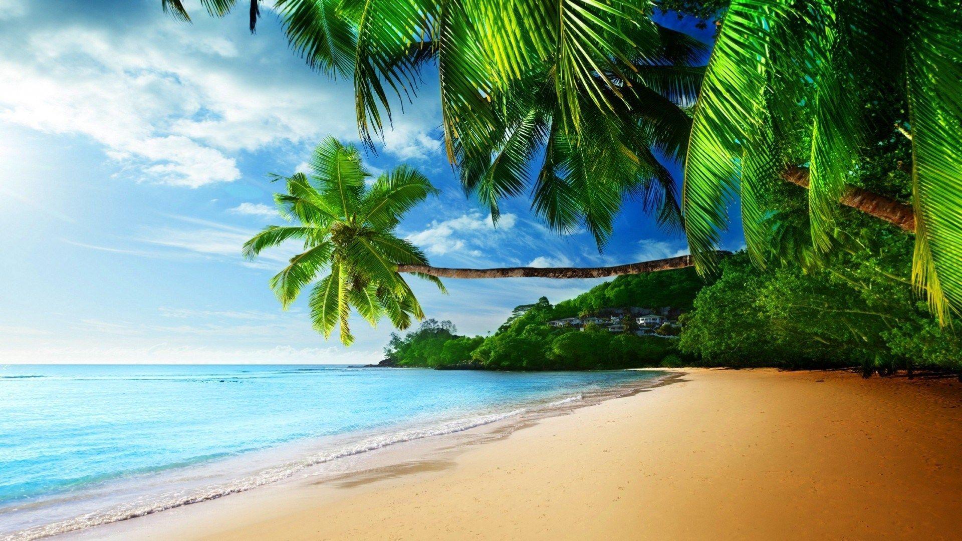tropical beach waves wallpaper high resolution desktop
