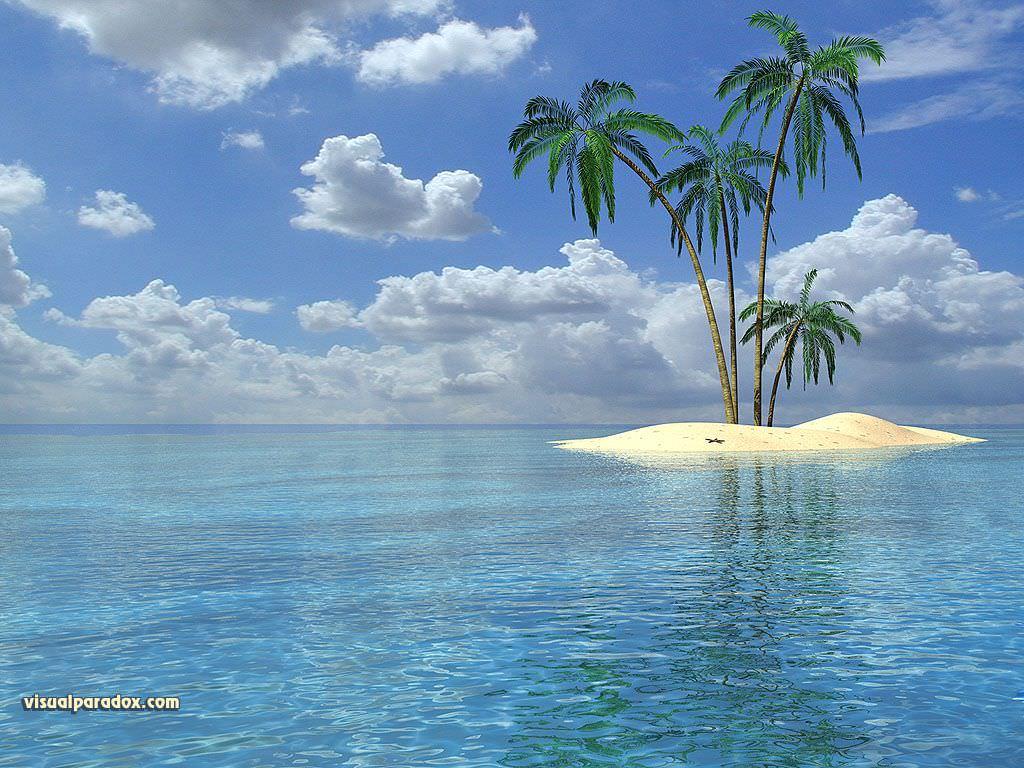 Tropical Beach Background, Wallpaper, Image, Picture