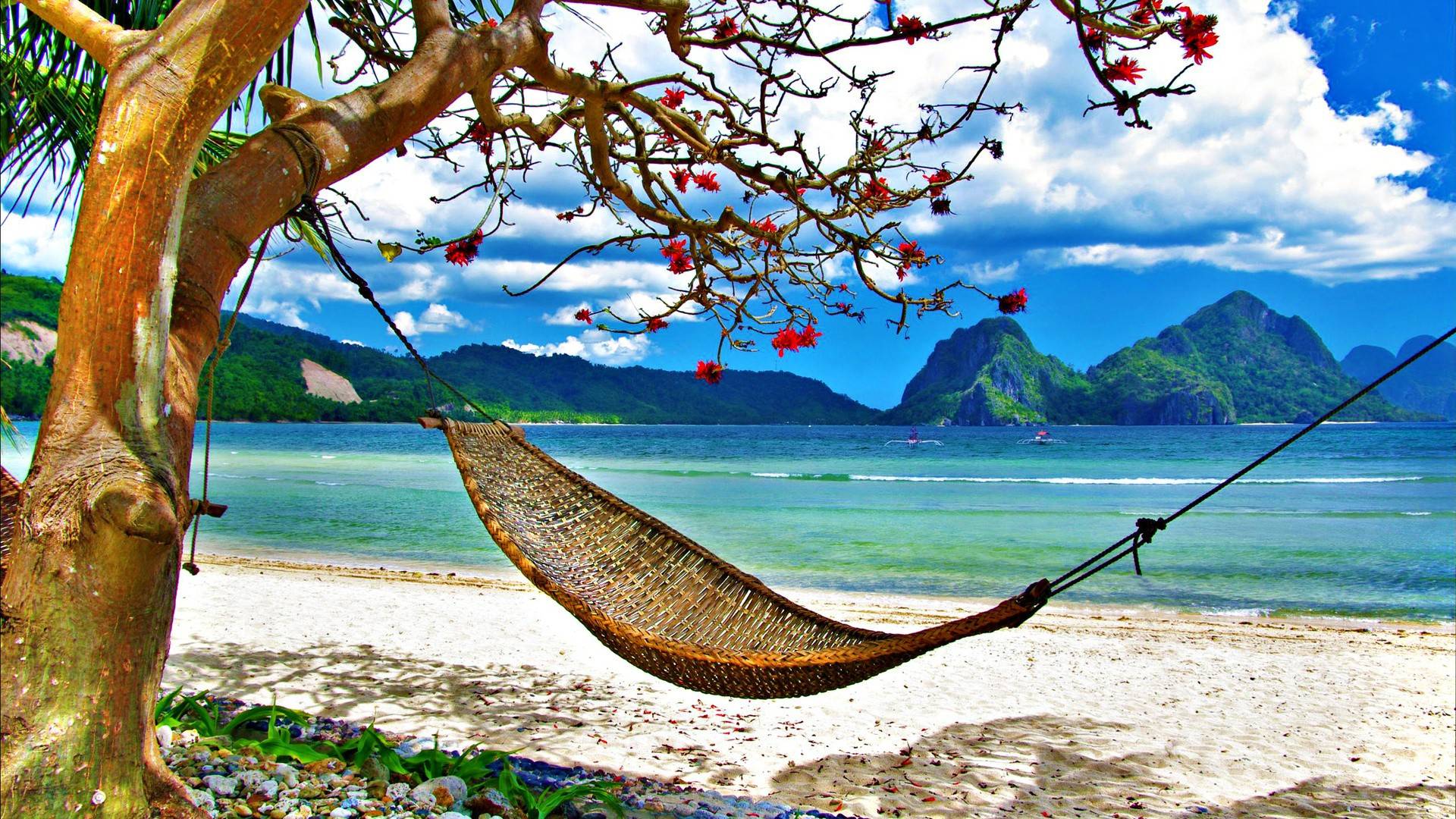 tropical beach picture hammock wallpaper high resolution
