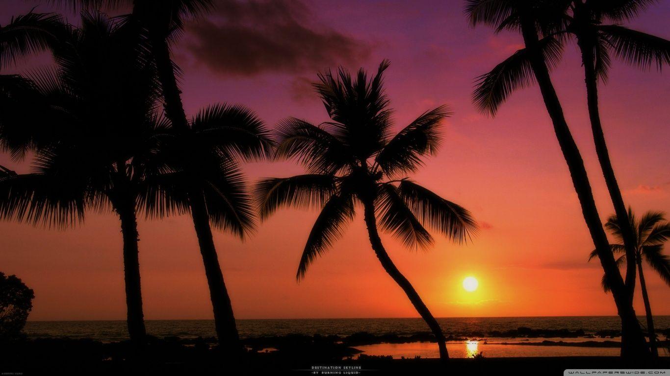 Tropical Sunset ❤ 4K HD Desktop Wallpaper for 4K Ultra HD TV