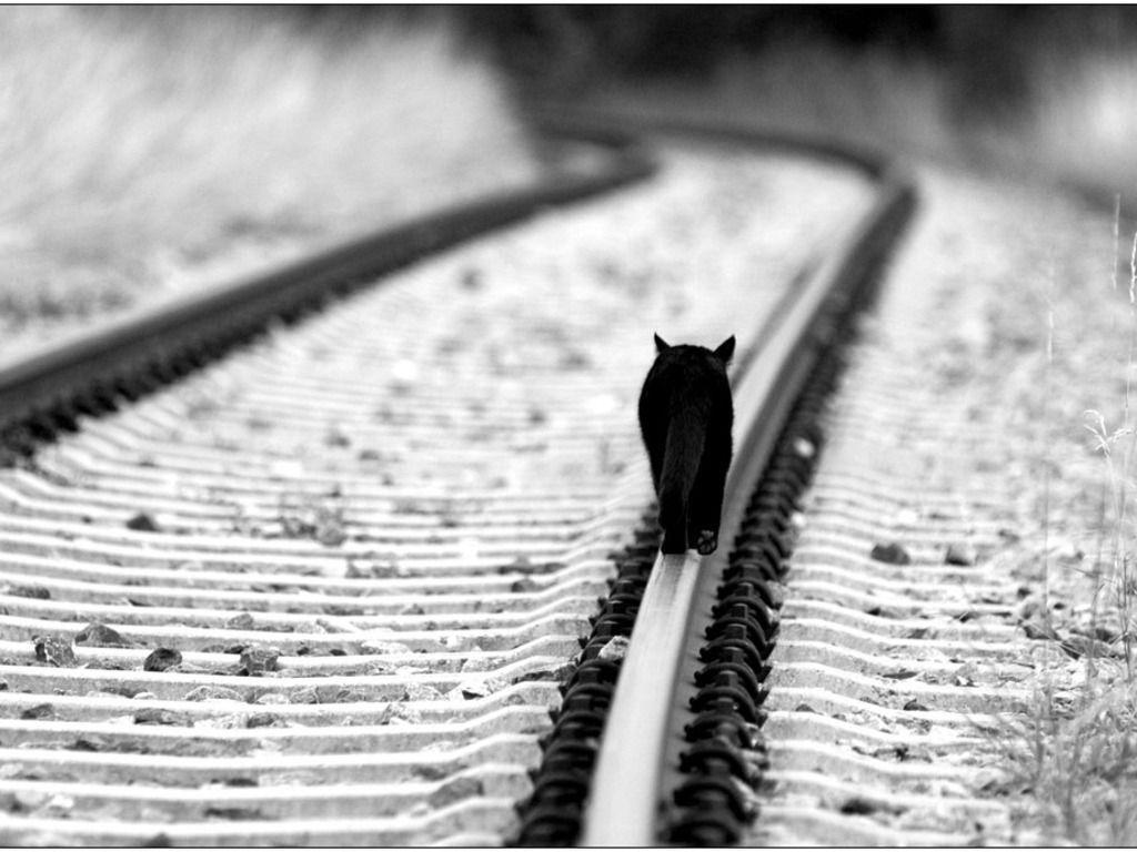 Heart Touching Sad Boy Wallpaper Alone Boy Sad Image 2000×1491