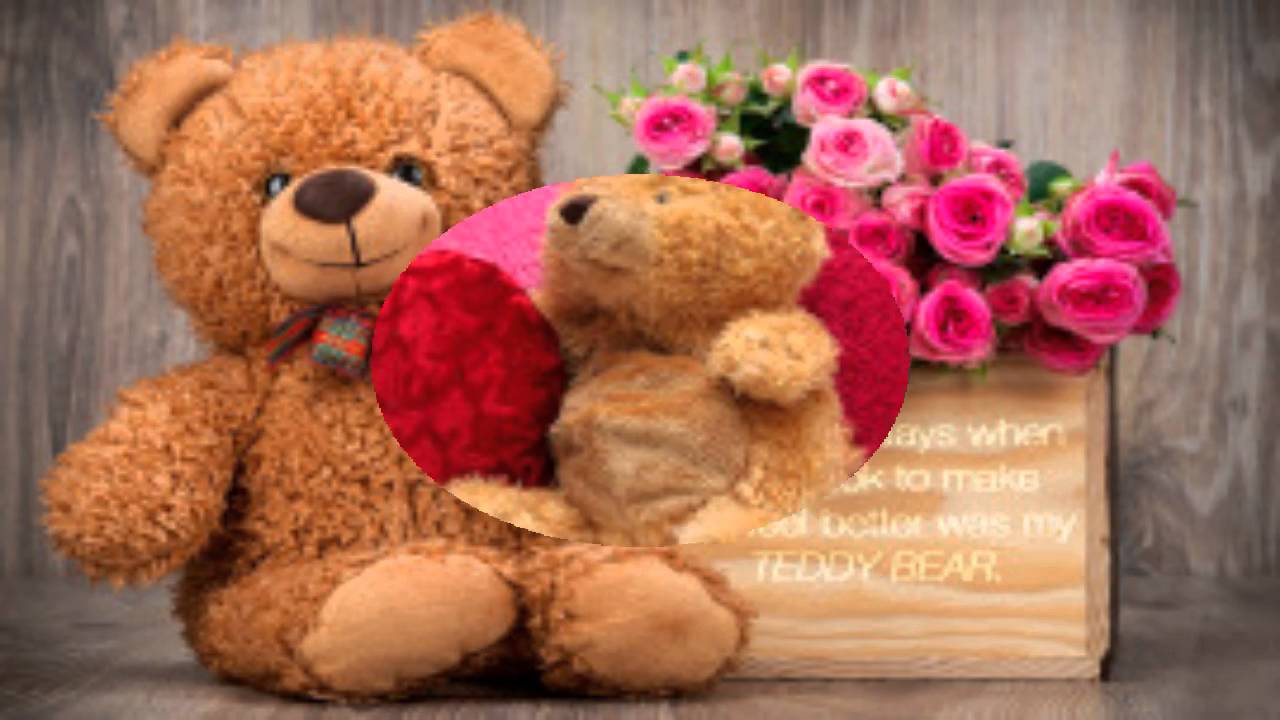 Teddy Bear Image Wallpaper Whatsapp
