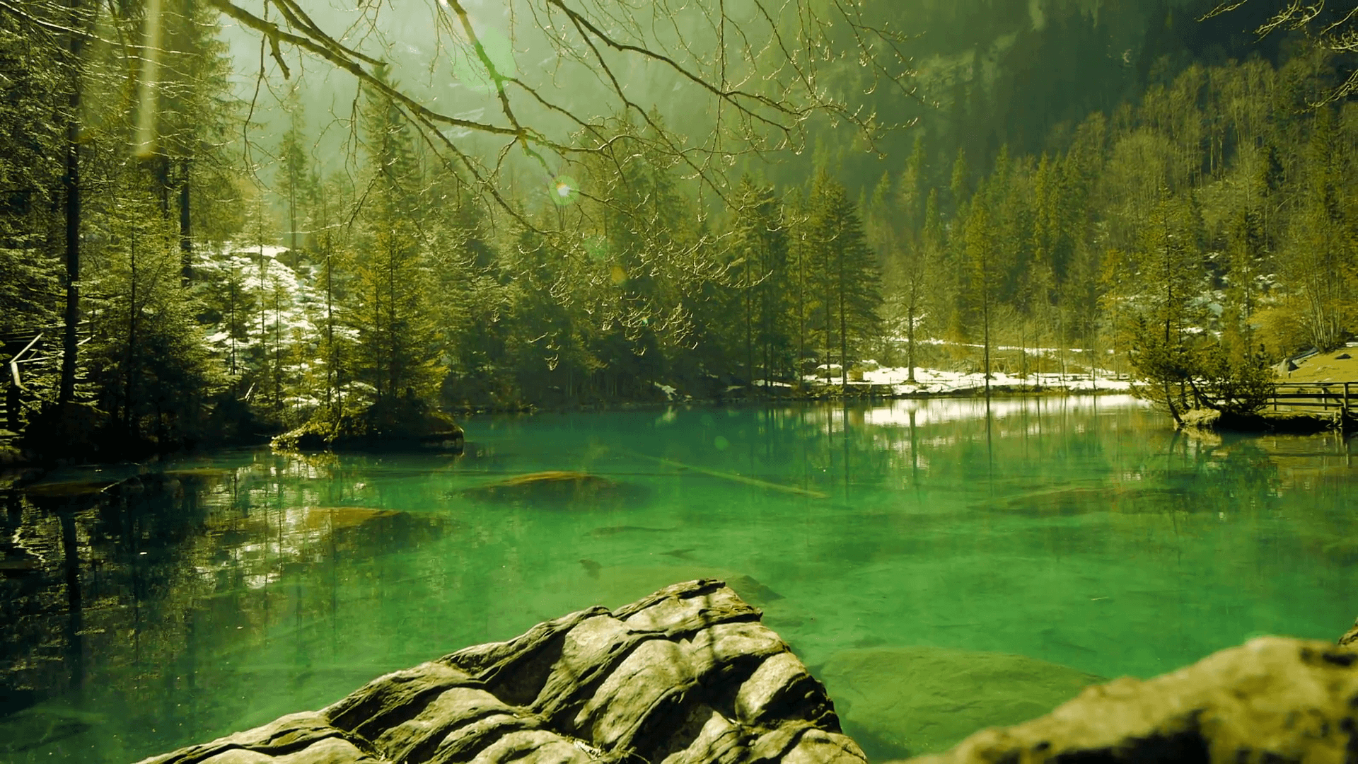 turquoise lake water. green nature background. resort park Stock