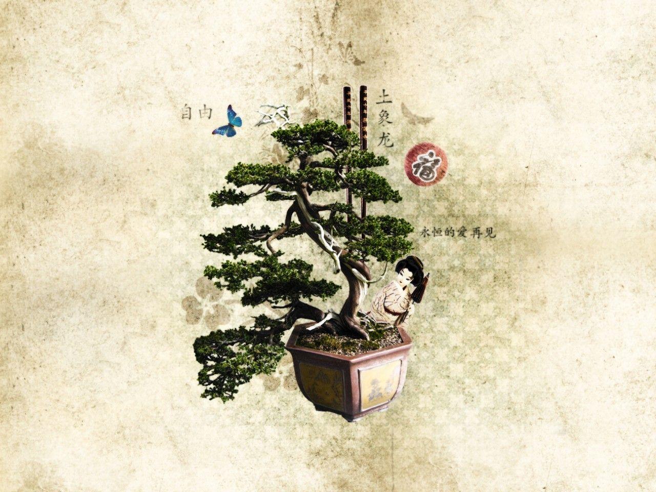 Beautiful Bonsai wallpaper. Beautiful Bonsai