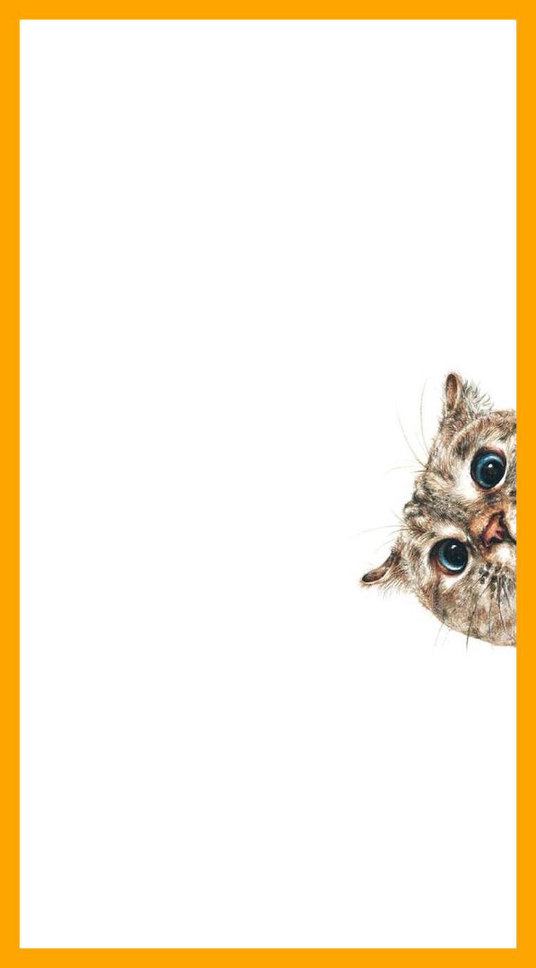 Best Mobile Background For Cute Cat On We Heart It Trends
