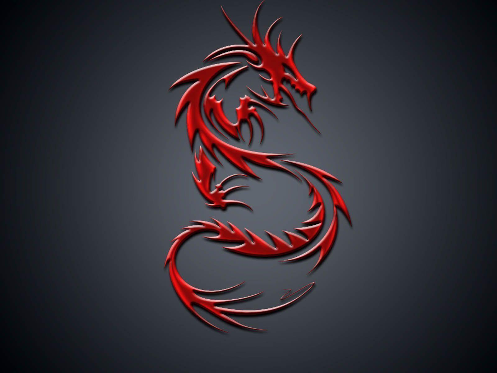 Dragon Logo Wallpaper Background Image