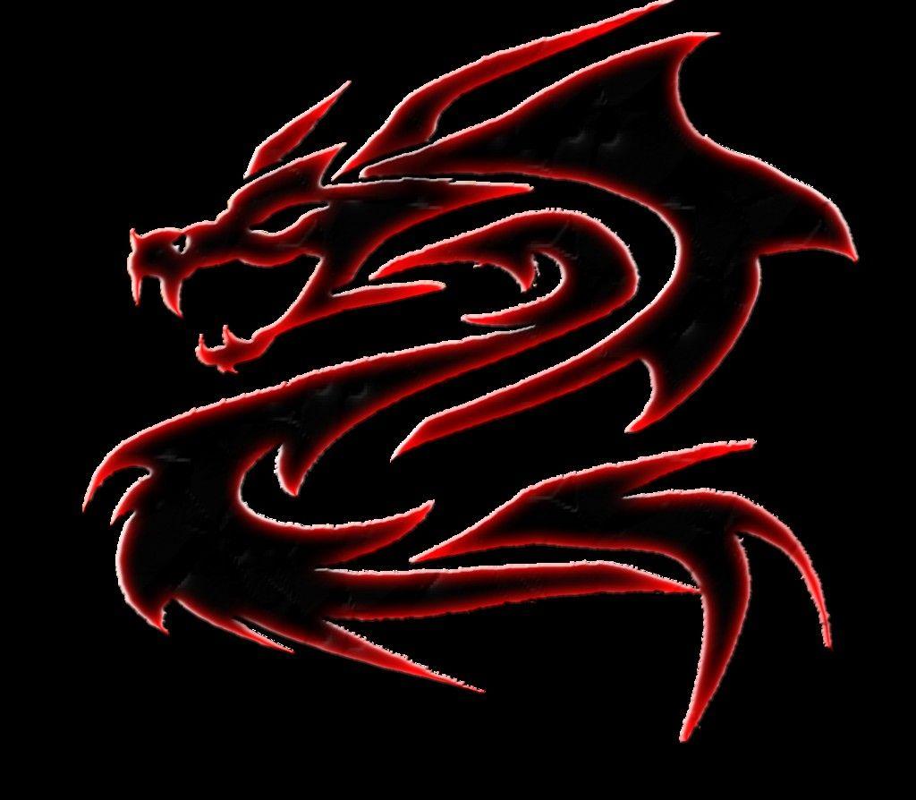 Free New Dragon Logo Designer Thiagosnp Wallpaper Download