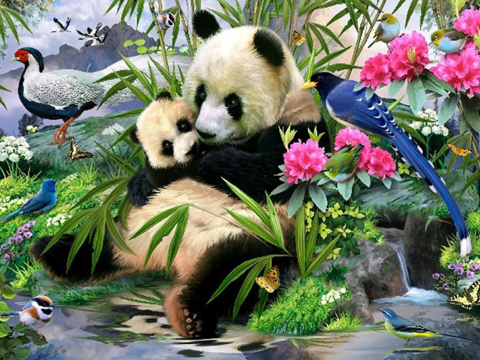 Terriod Animals HD WallpaperD Wallpaperd