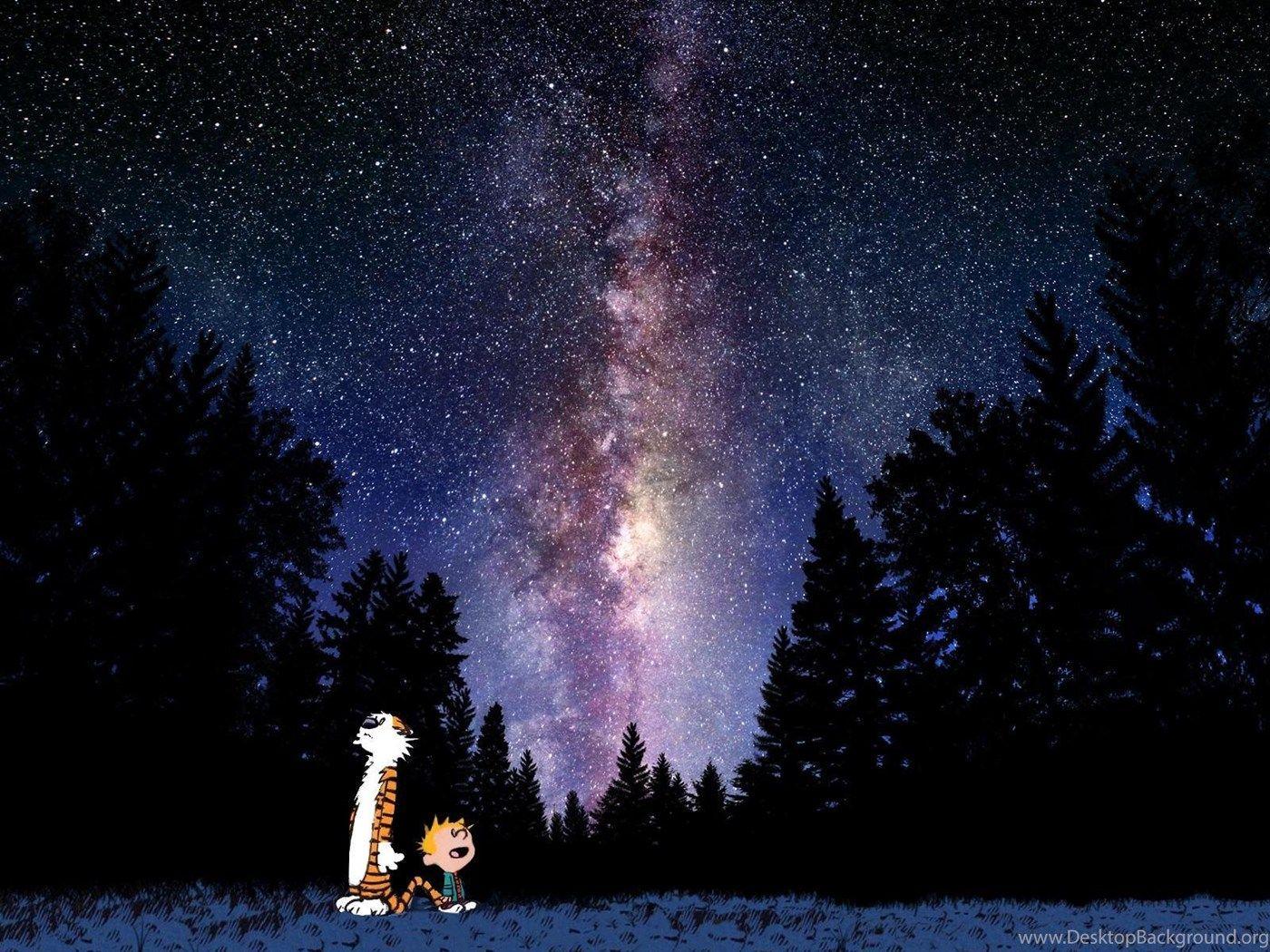 Calvin And Hobbes Looking At Stars Wallpaper Desktop Background