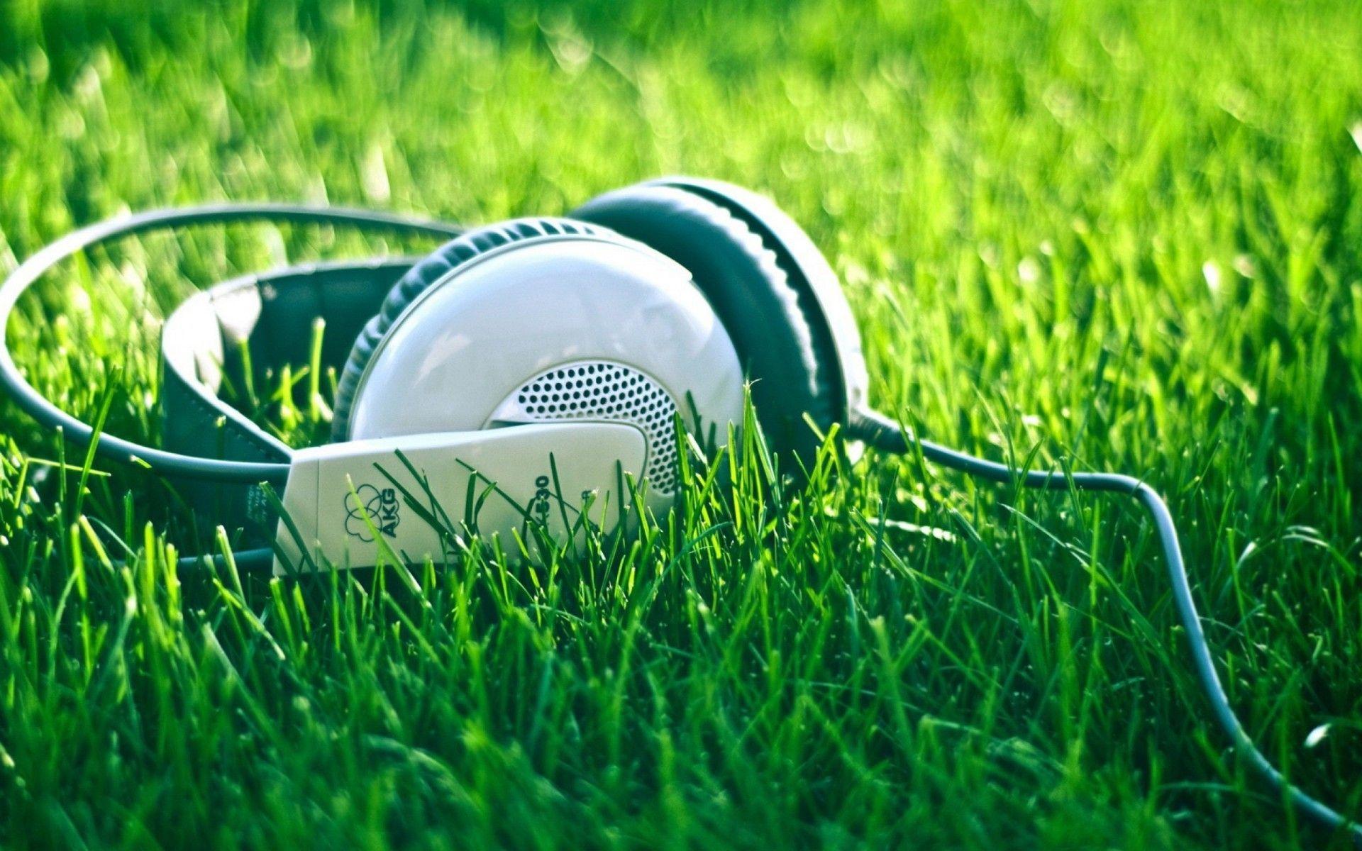 Music is the Life Summer Time HD Wallpaper HD