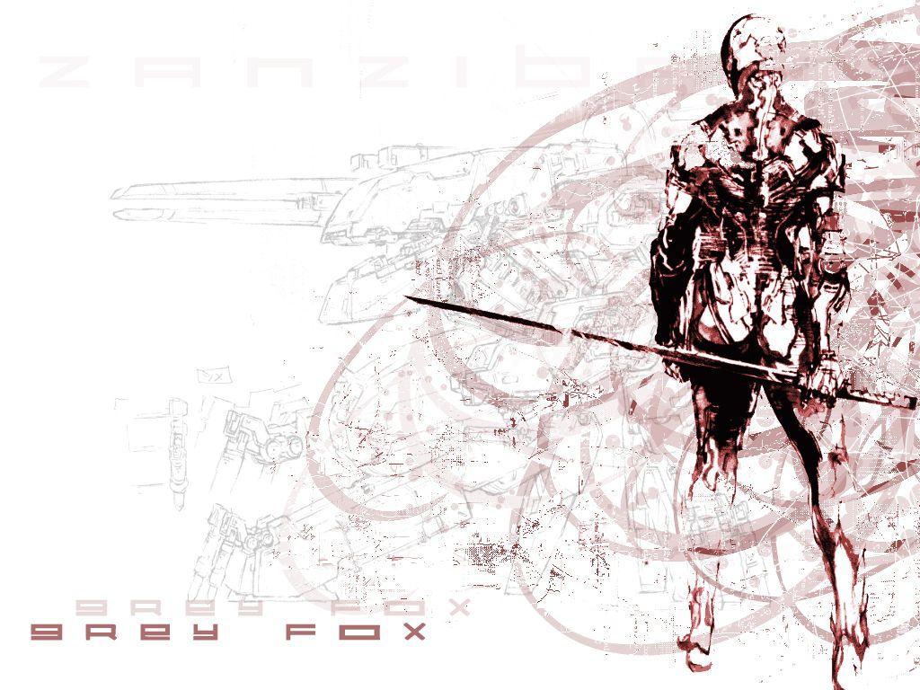 Gray Fox screenshots, image and picture