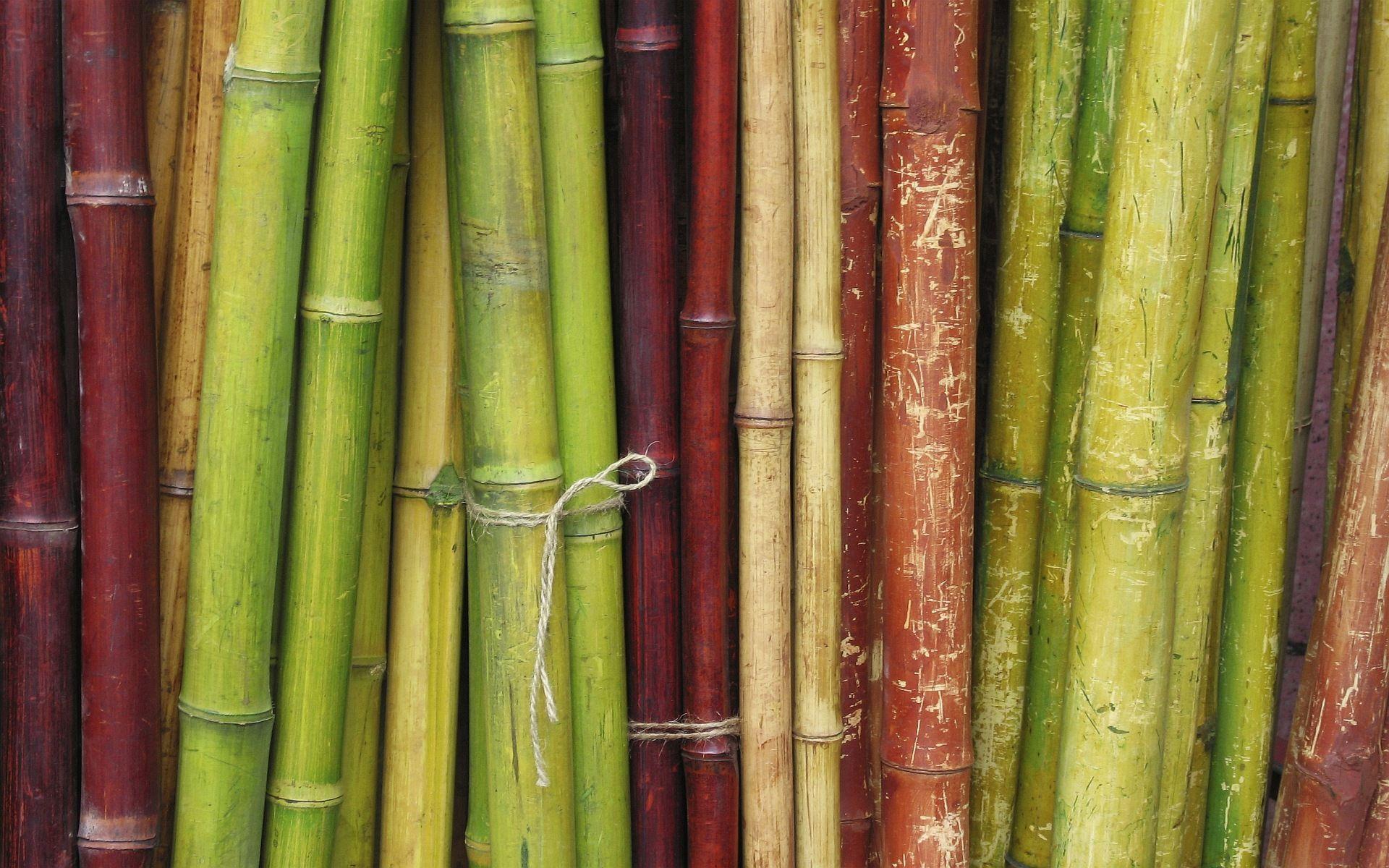 Sugarcane Wallpapers - Wallpaper Cave