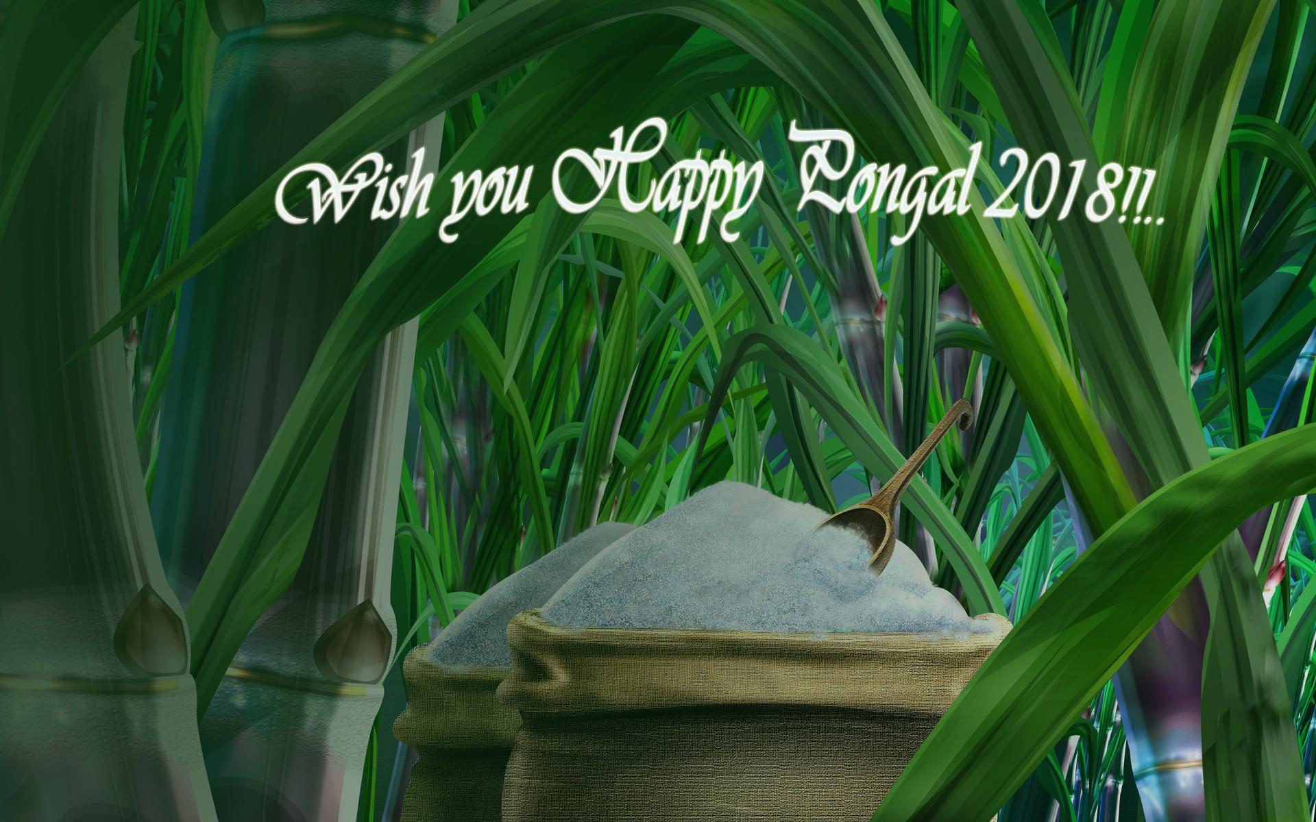 Pongal sugarcane wallpaper copy. Download Latest HD Wallpaper