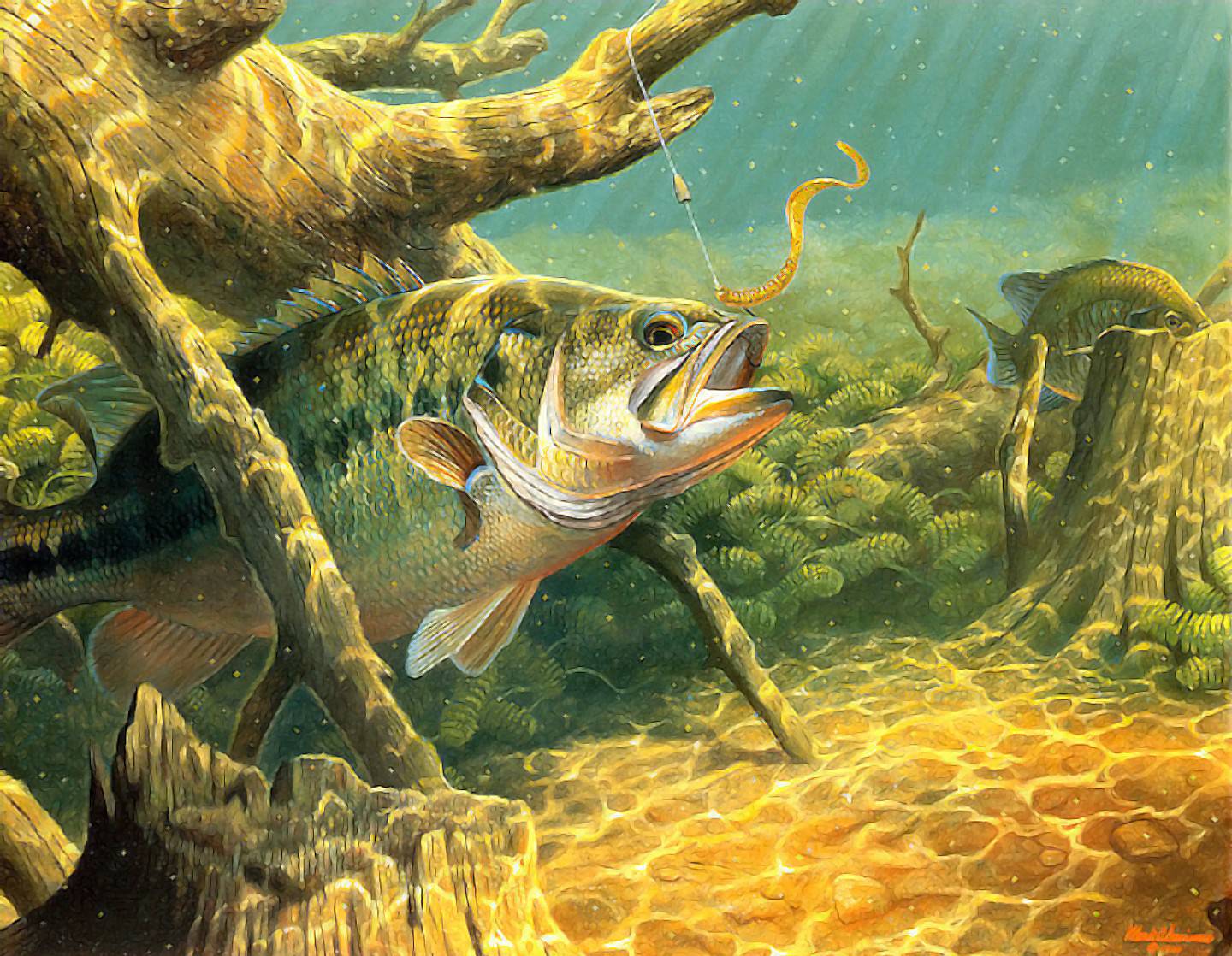 bass fishing background