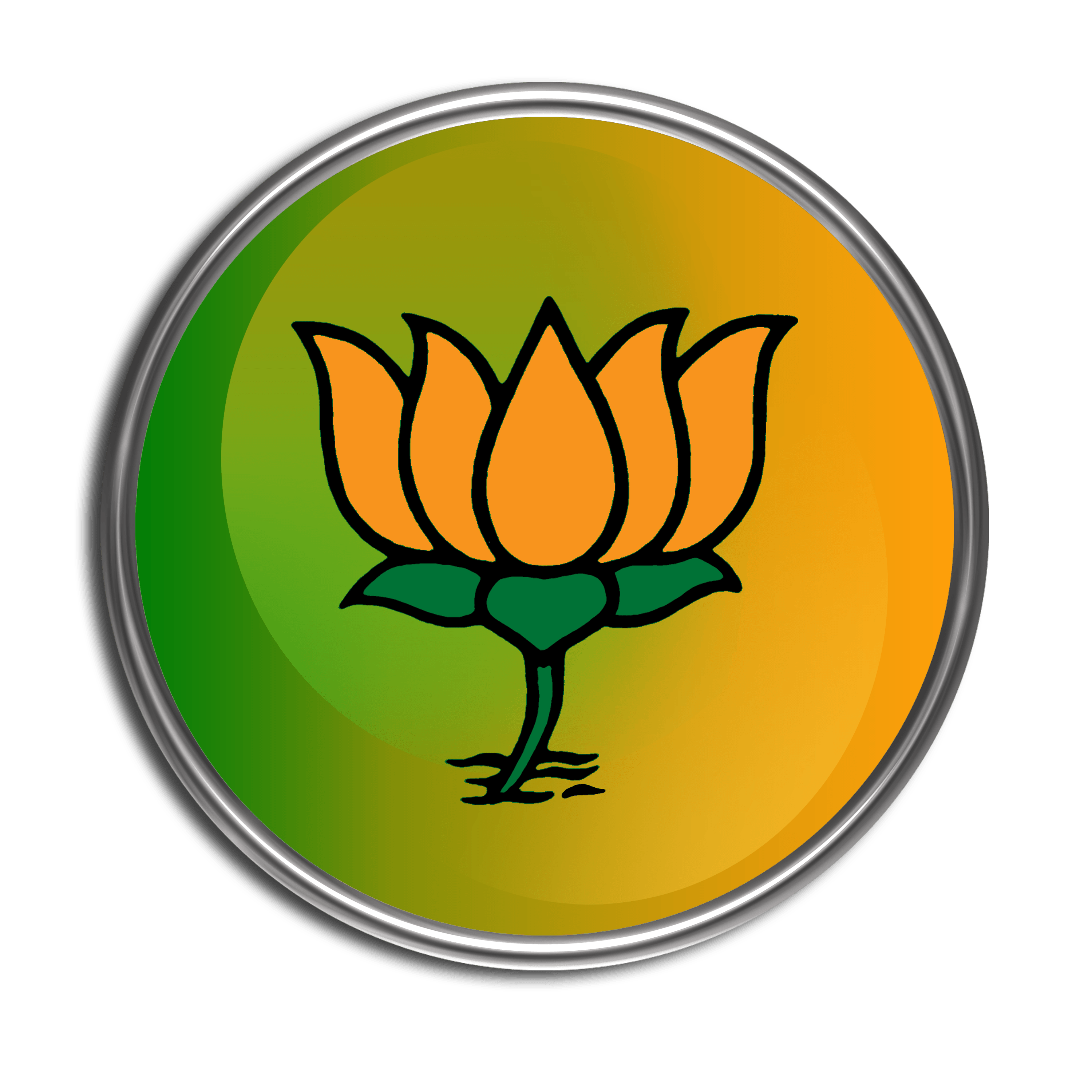 BJP Sets Up Probe Panel And Embarrassed By Infighting