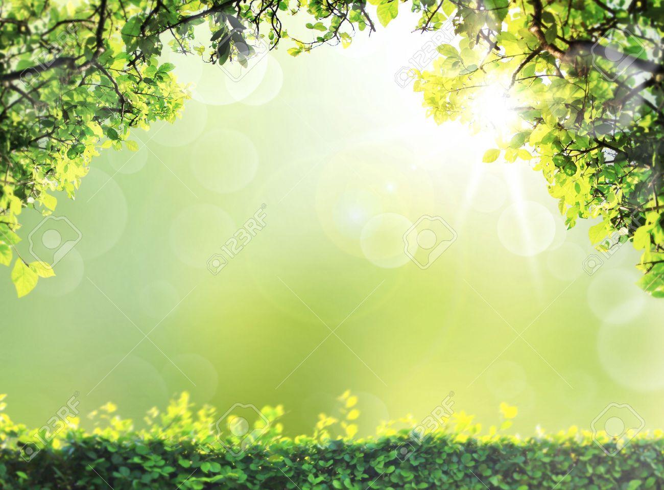 Nature Background Image