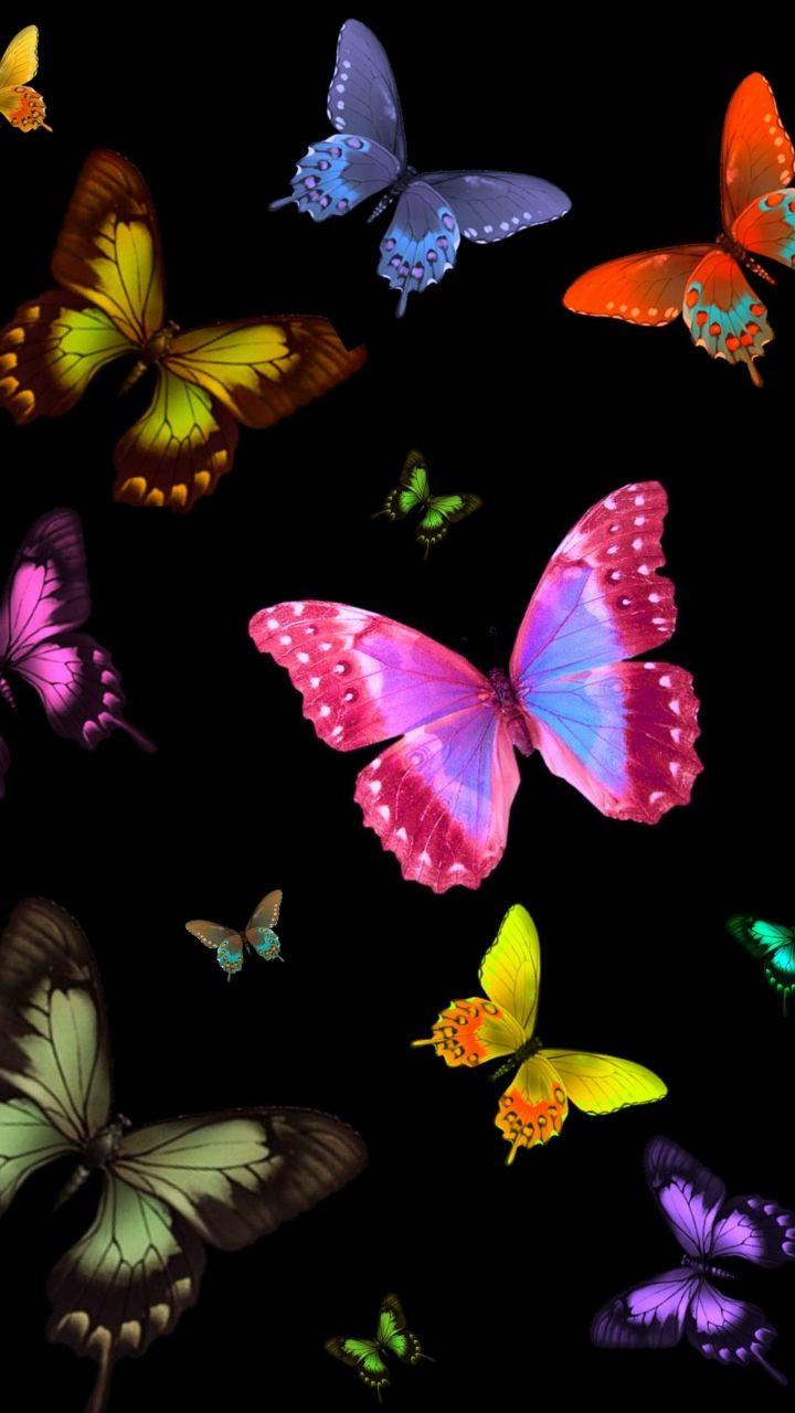 Artistic/Butterfly