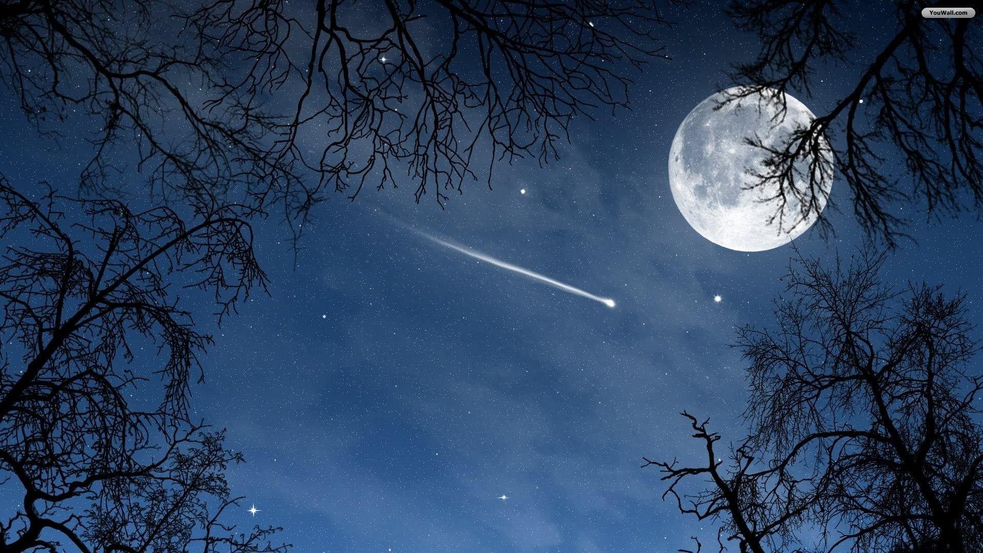 Night Sky Wallpaper