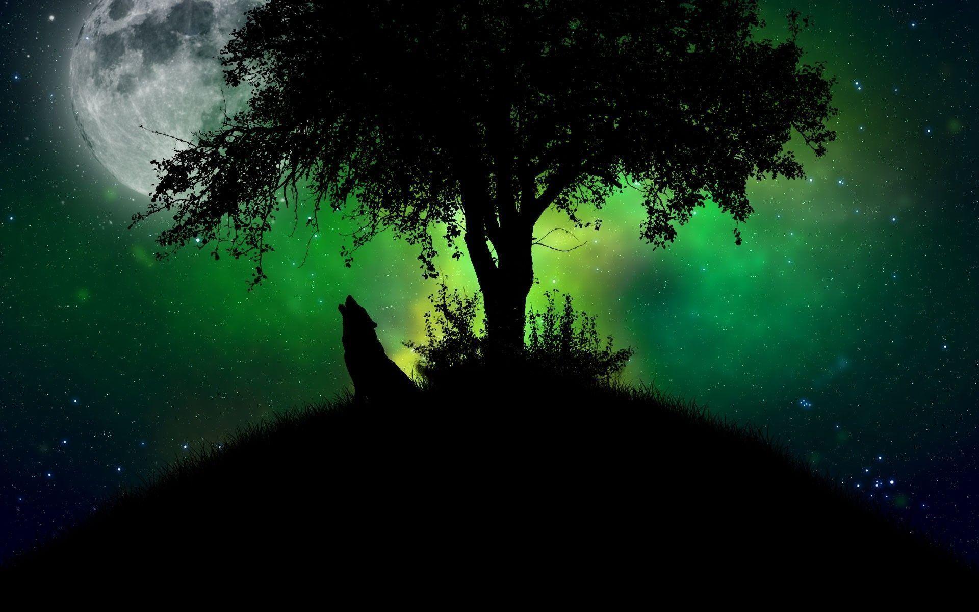Howling Wolf Wallpaper For Android. Bilinmiyor. Wolf