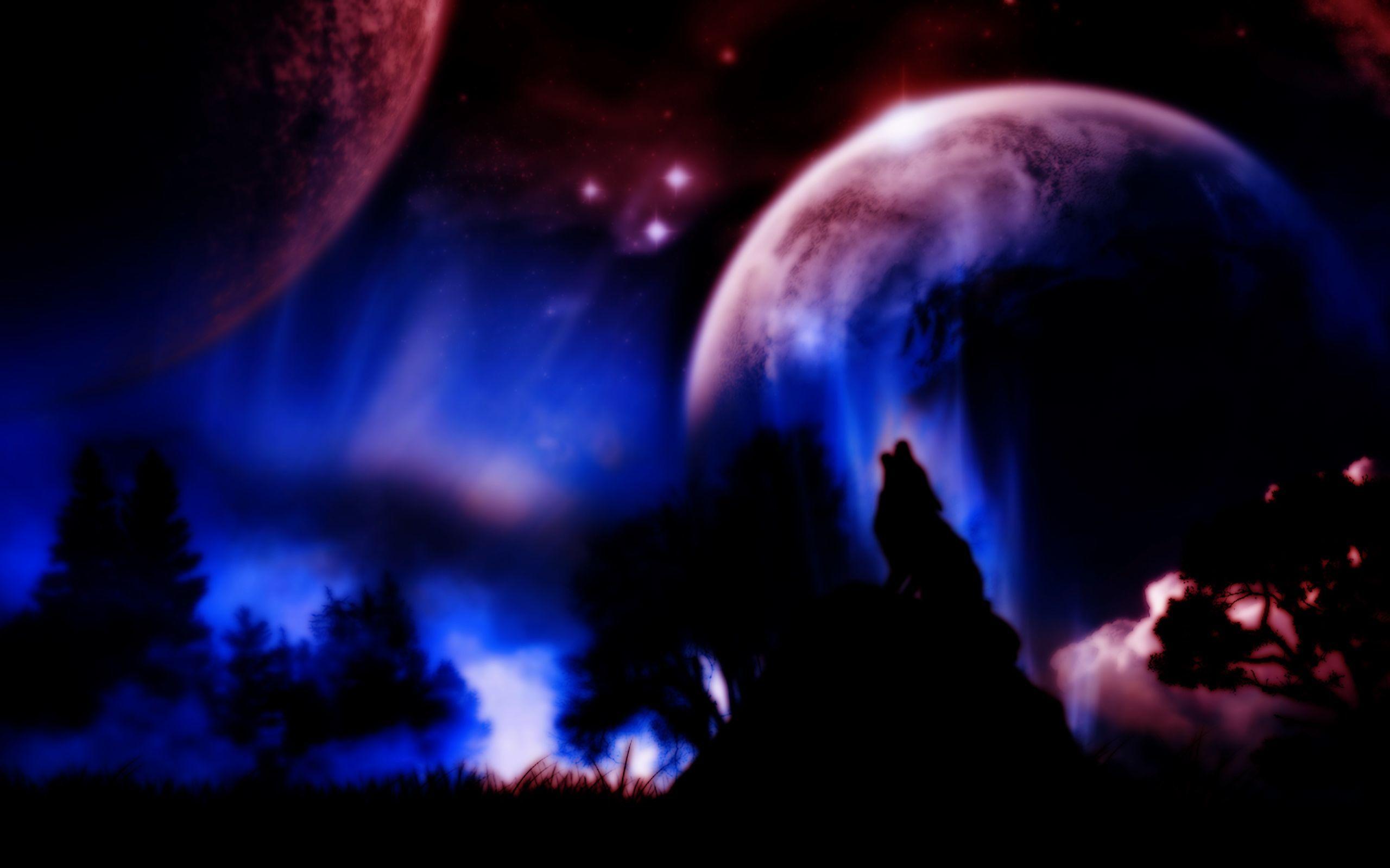 Wolf Wallpaper Free Download