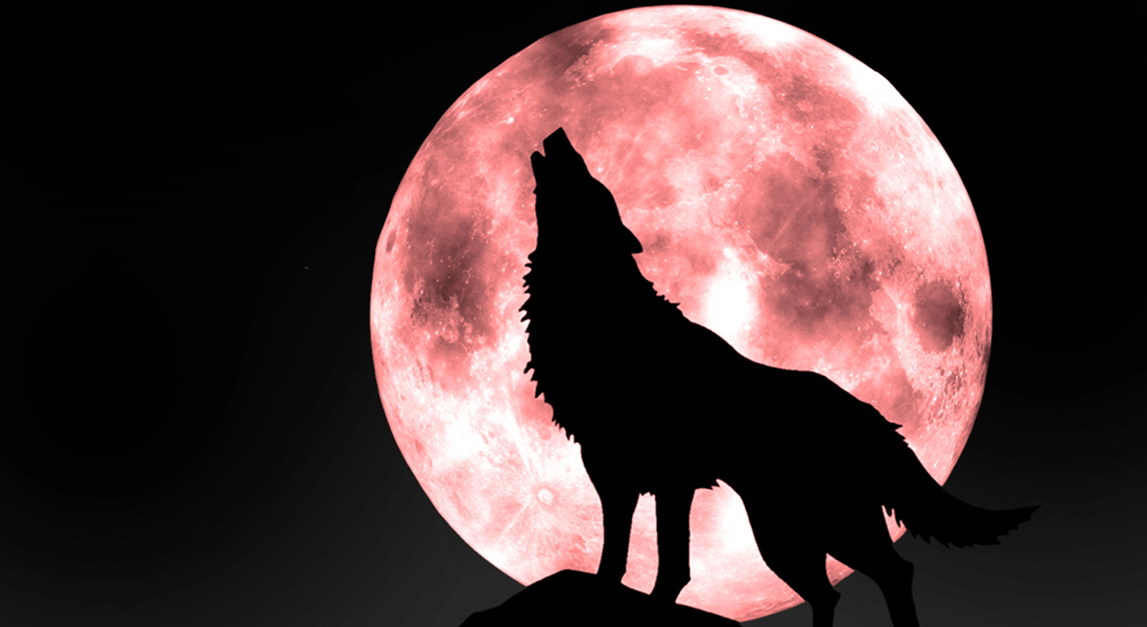 Wolf Live Wallpaper Apps on Google Play. Wolves