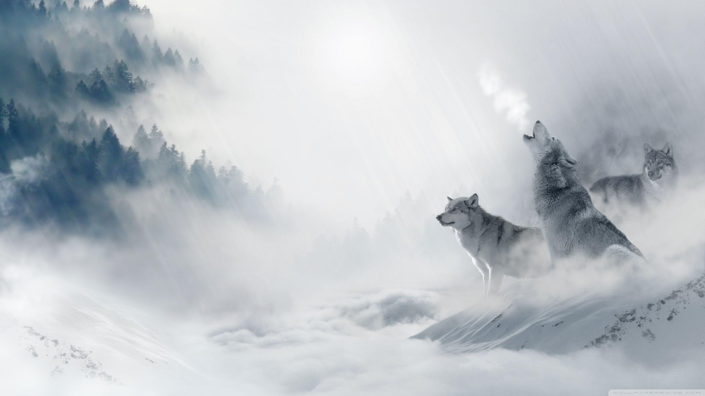 Premium AI Image  A wolf howling in the woods with a foggy background