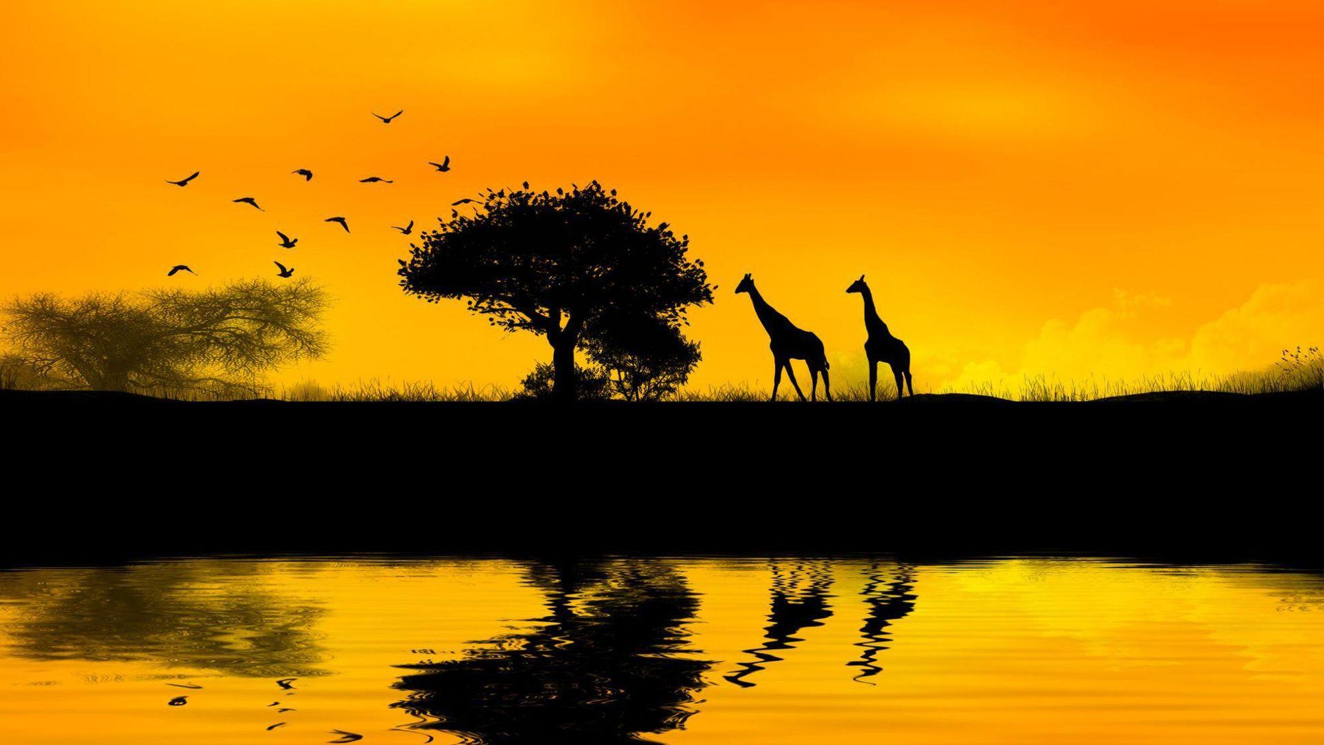 Africa Wallpaper