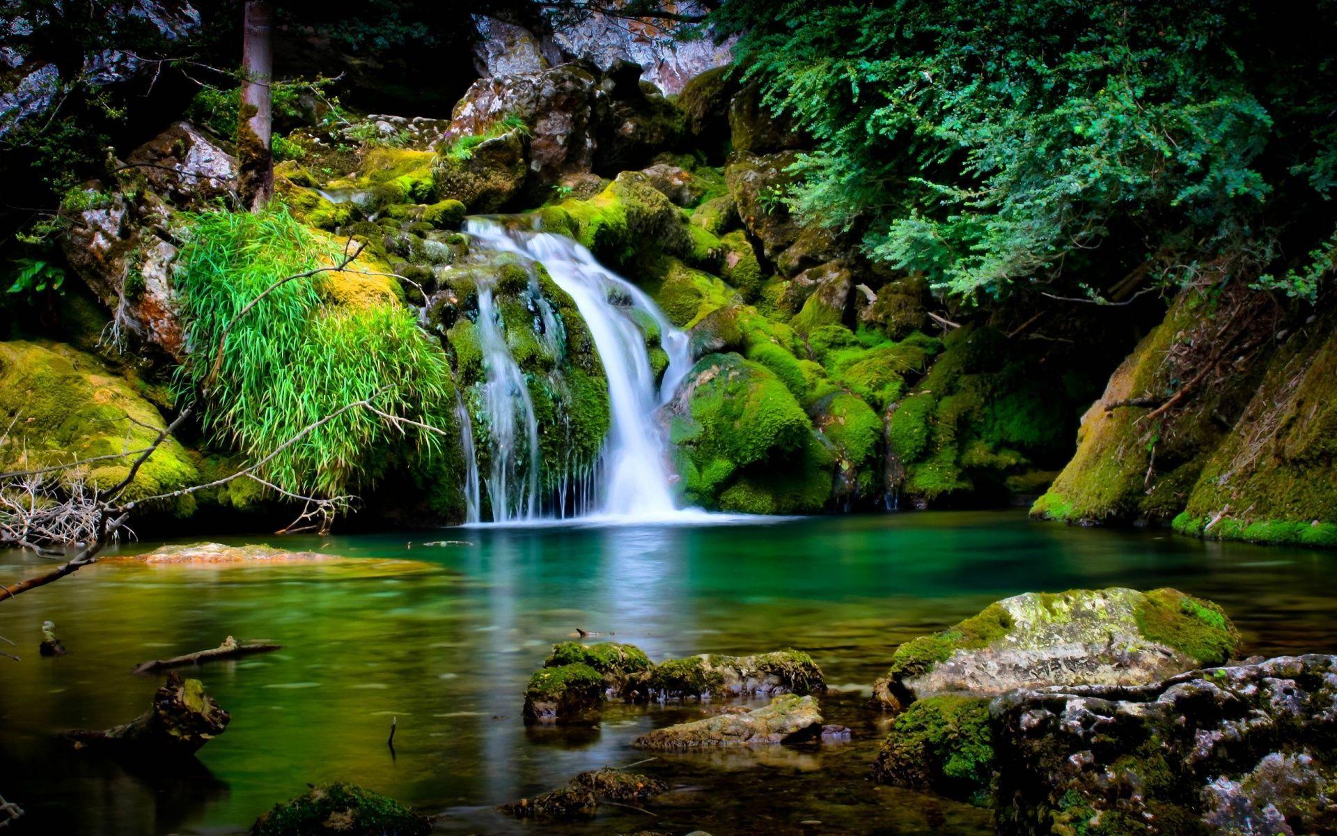 beautiful waterfall placid nature wallpaper desktop background