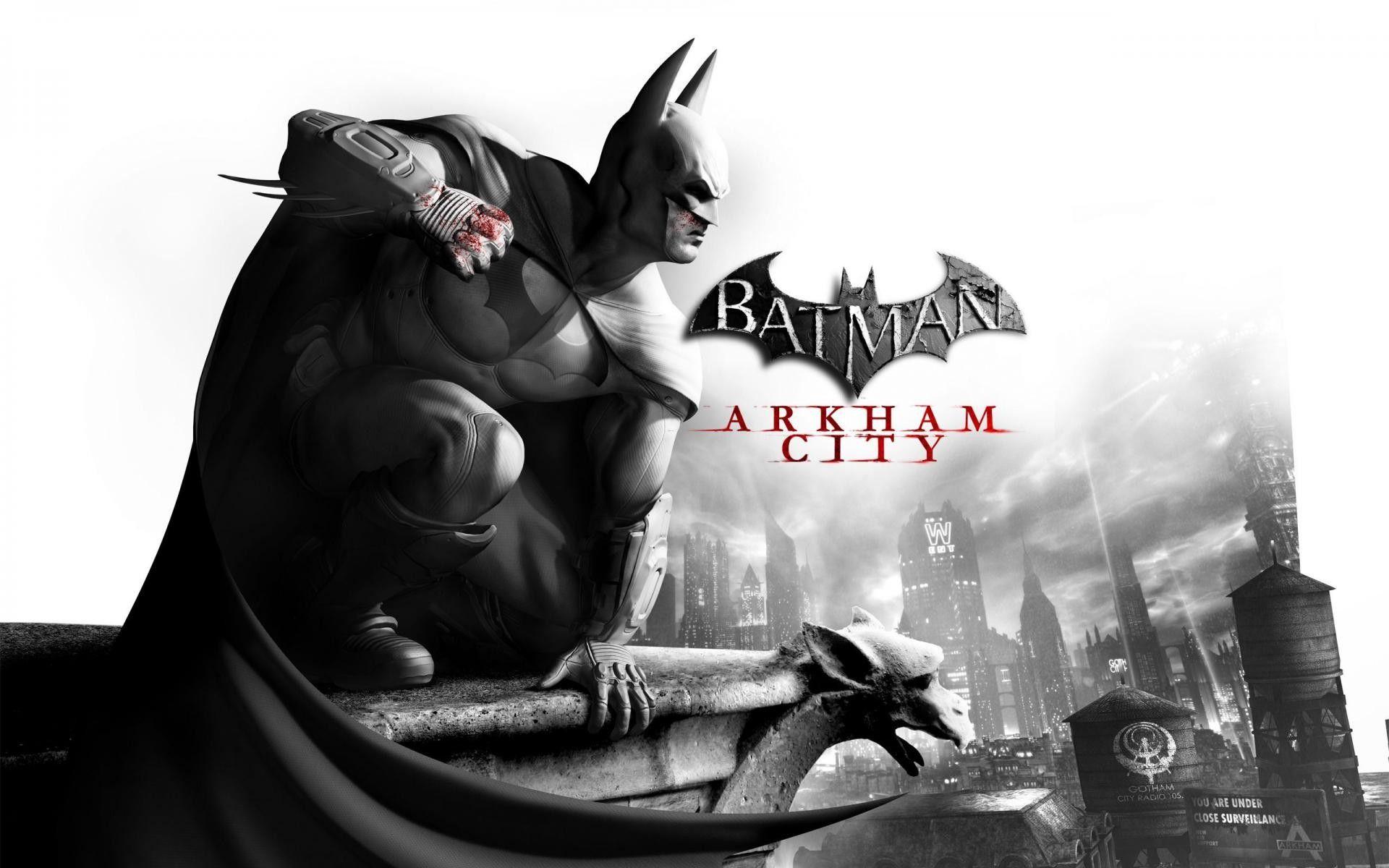 Batman Arkham City Full HD Wallpaper