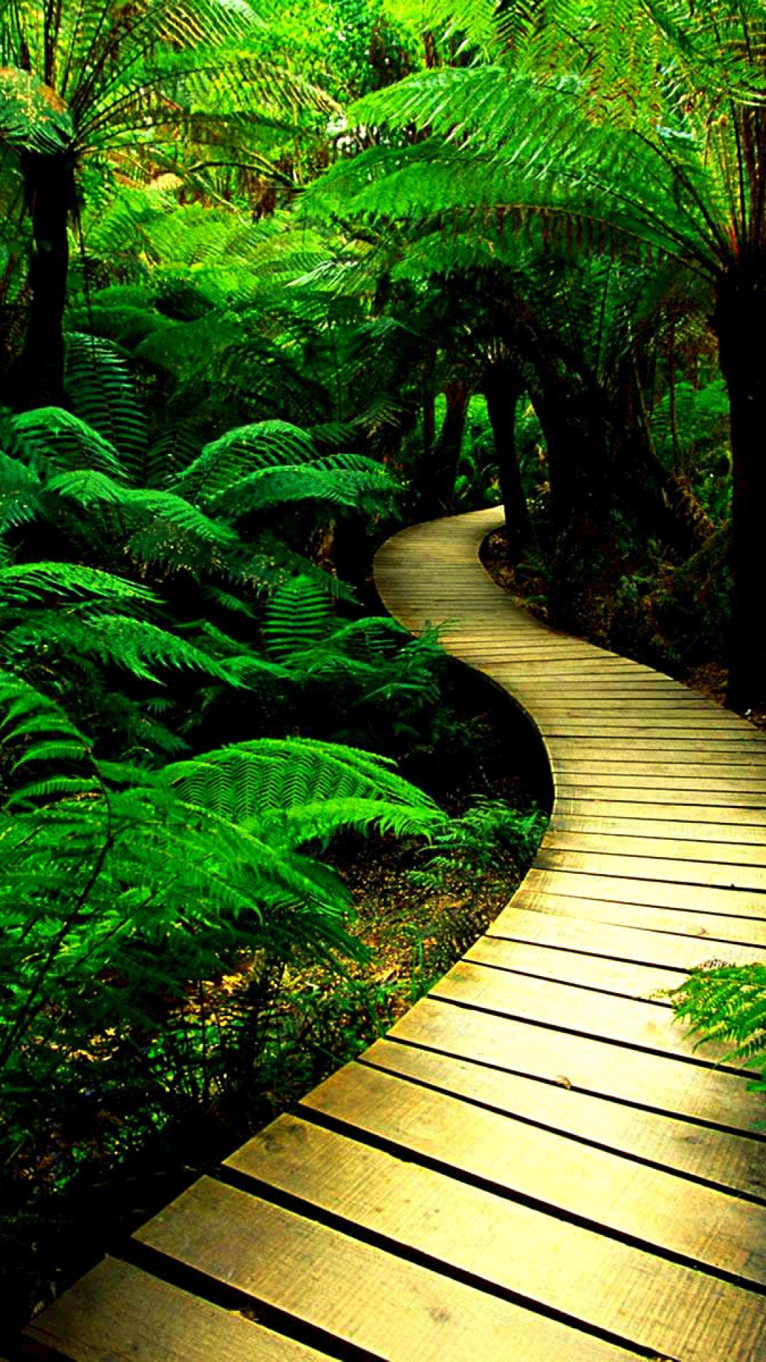 Background Nature S Id With S4 Wallpaper HD Image Of Mobile Phone