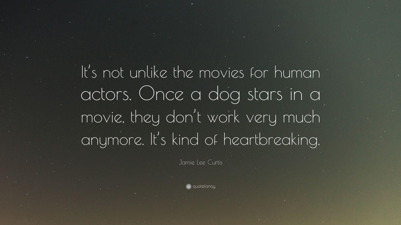 Jamie Lee Curtis Quote: “It's not unlike the movies for human actors