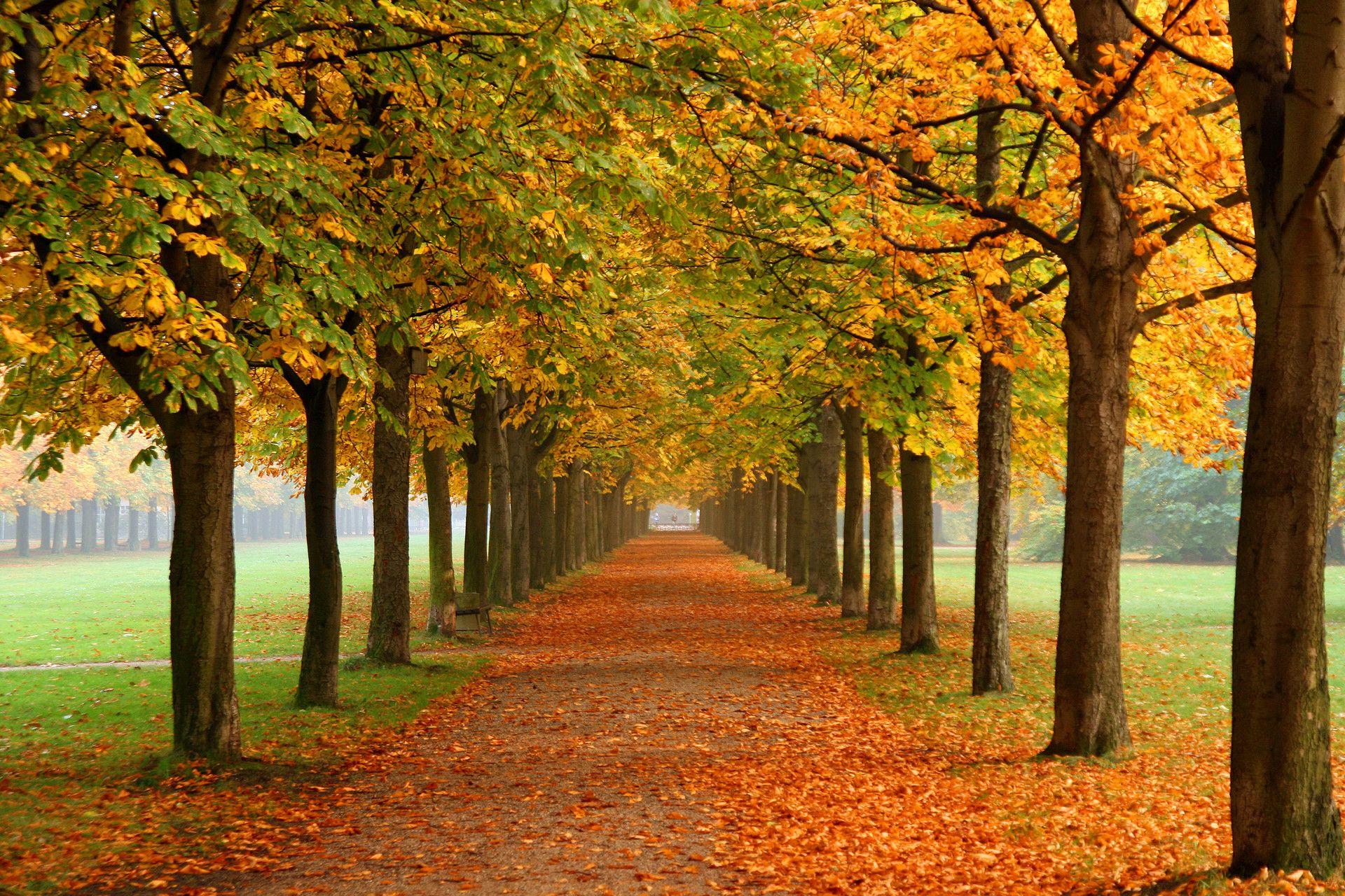 HD Nature Wallpaper for Desktop