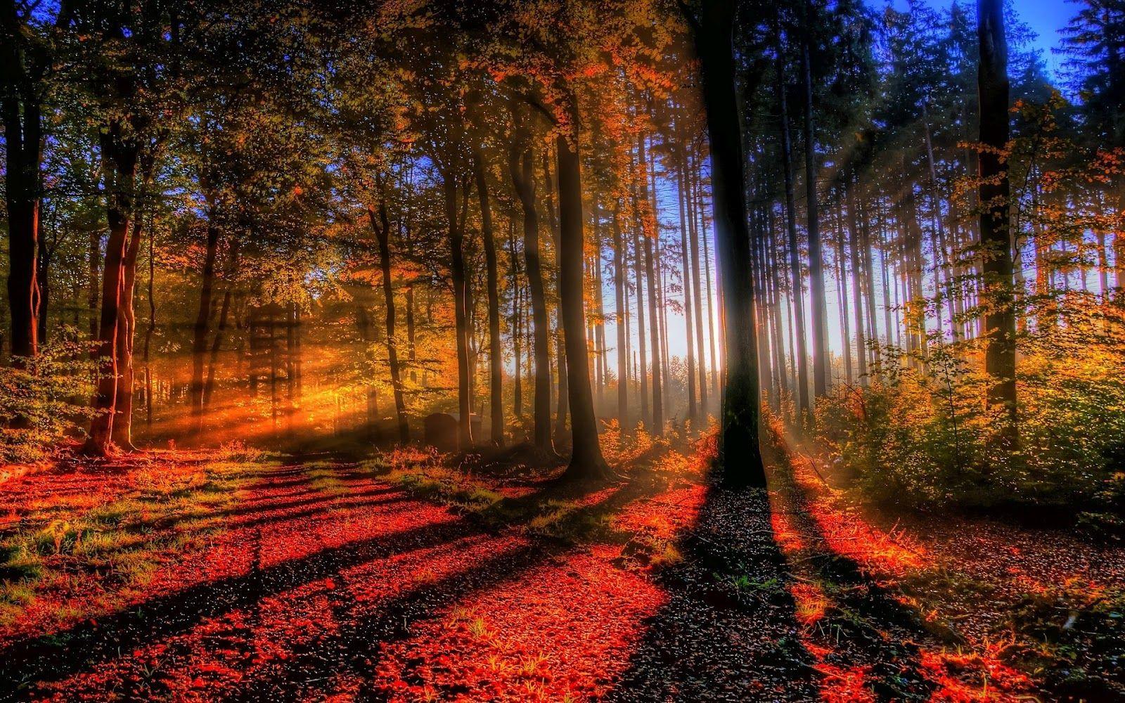 Hd Image Of Nature