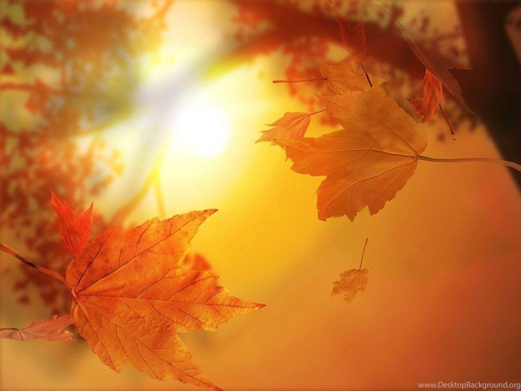 Desktop Wallpaper · Gallery · Windows 7 · Farewell Fall Desktop