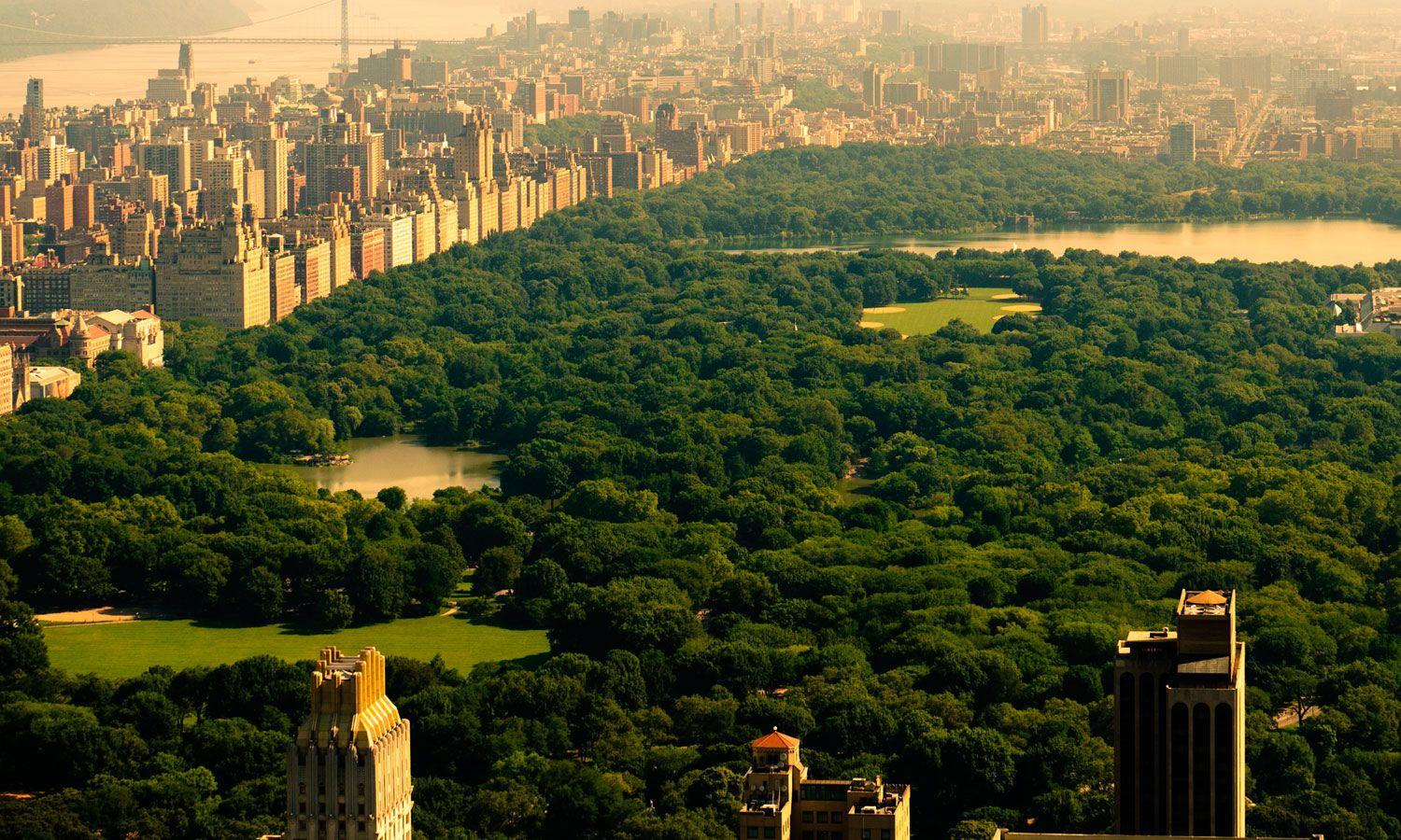 Central Park Wallpaper and Background Image