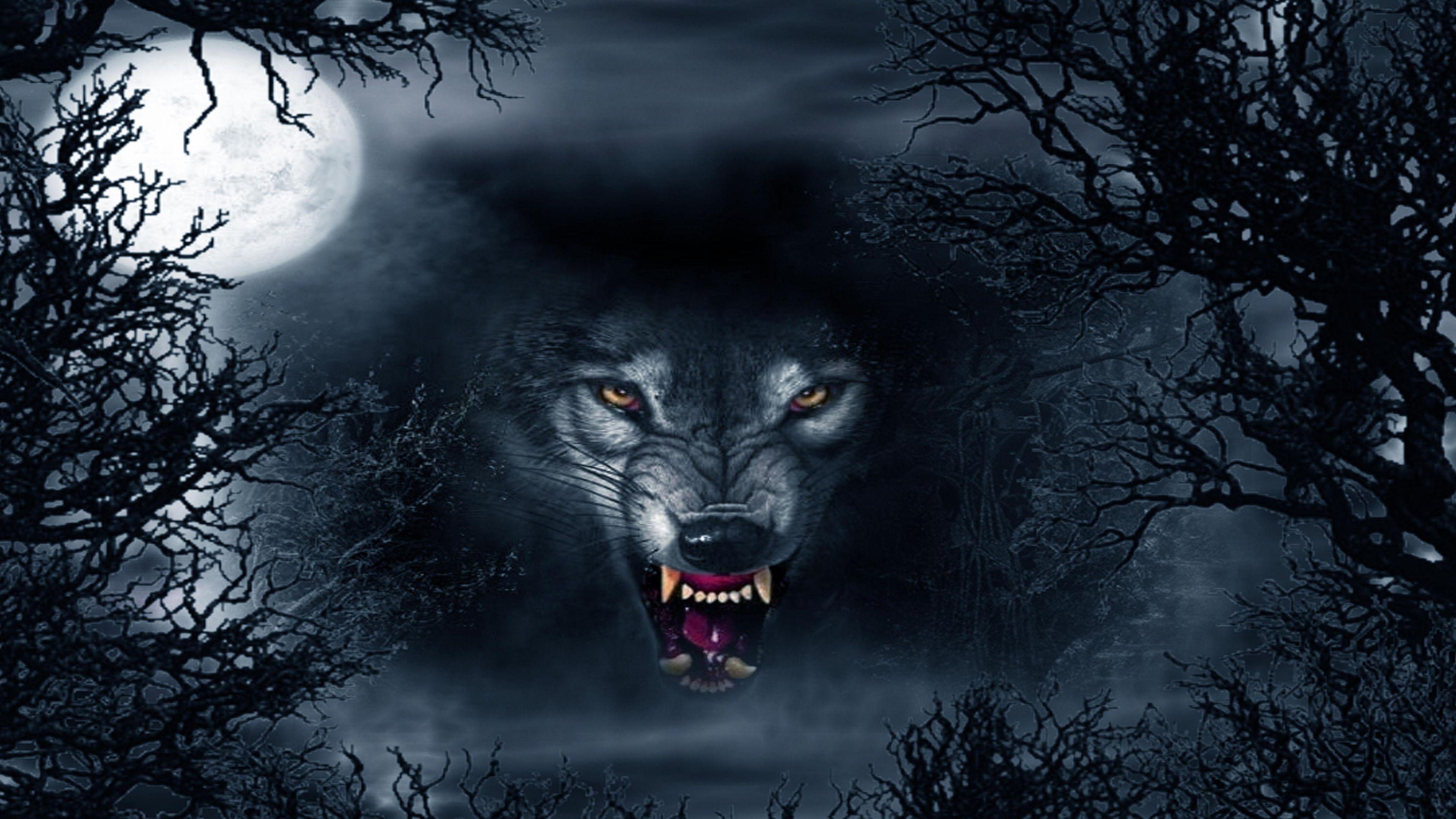 Evil wolf Abstract Ultra HD 4K Wallpaper. Abstract