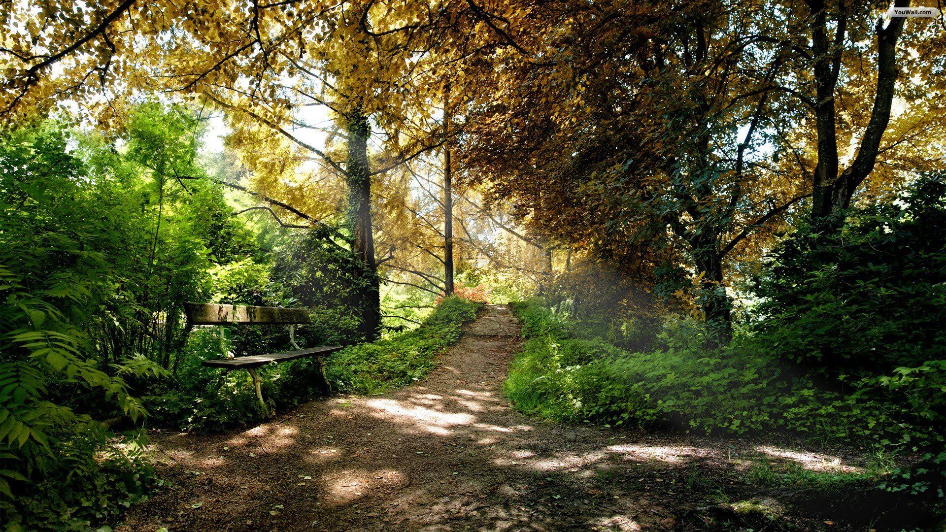 Park