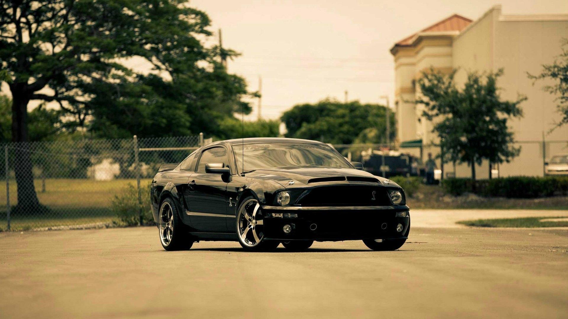 Black Mustang Wallpaper 46570 1920x1080 px