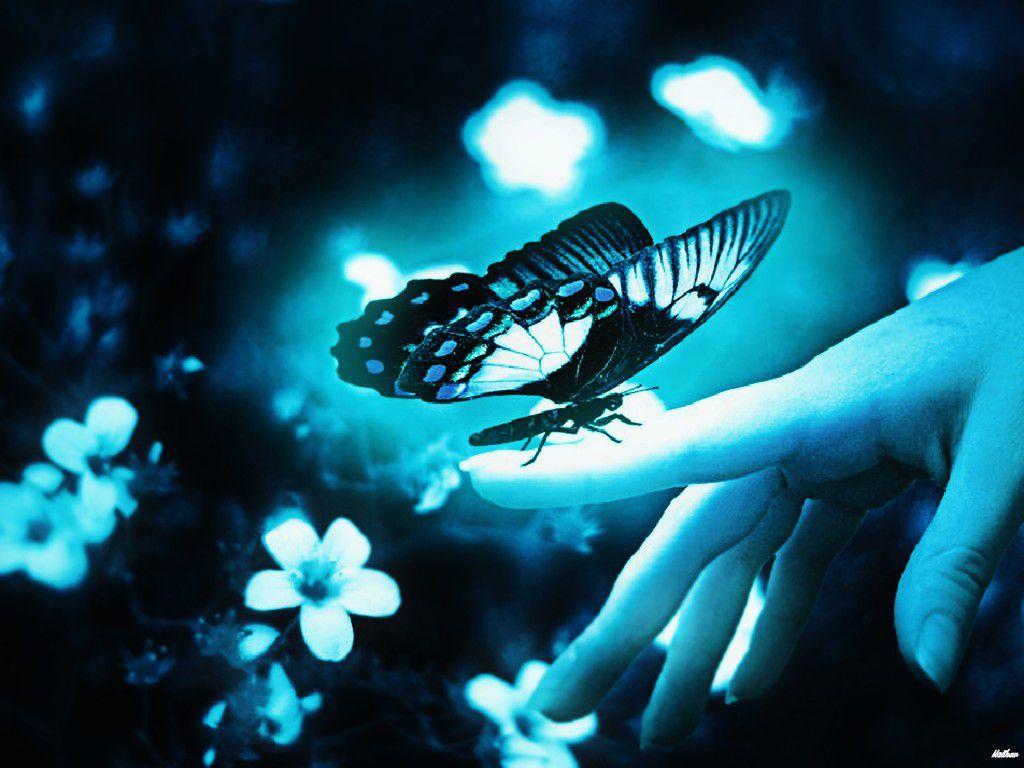 Blue Butterfly HD Wallpapers - Wallpaper Cave