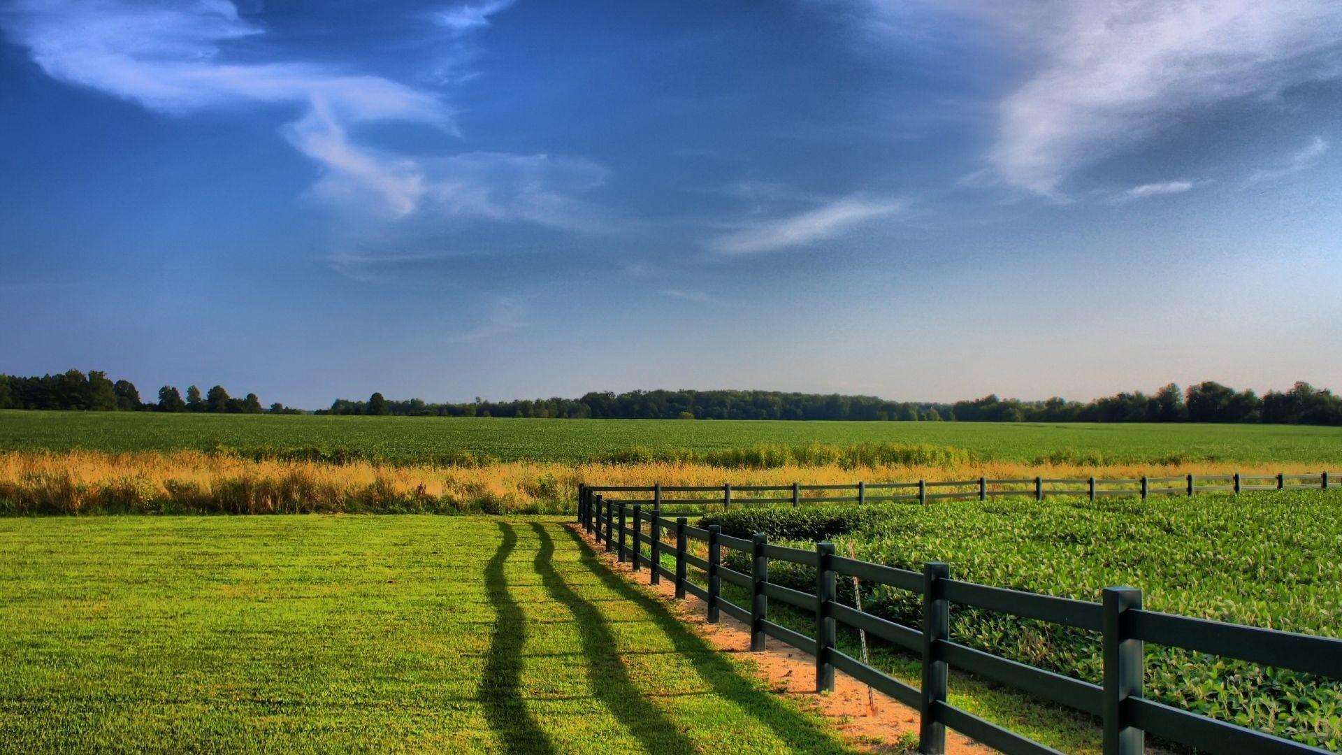 Download wallpaper 1920x1080 fence, fields, greens, agriculture full