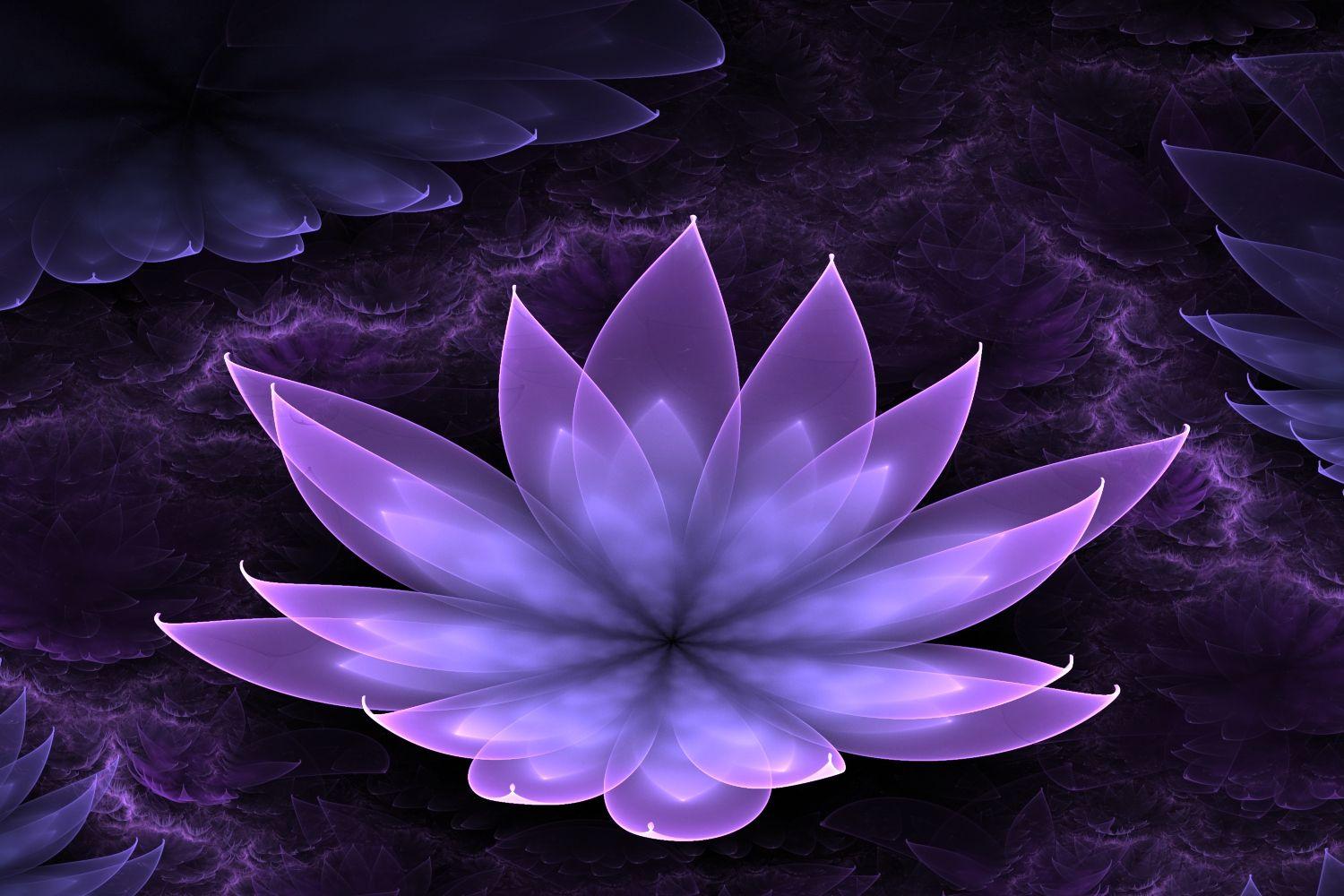 Purple Lotus Flower Wallpaper Photo Free Download > SubWallpaper
