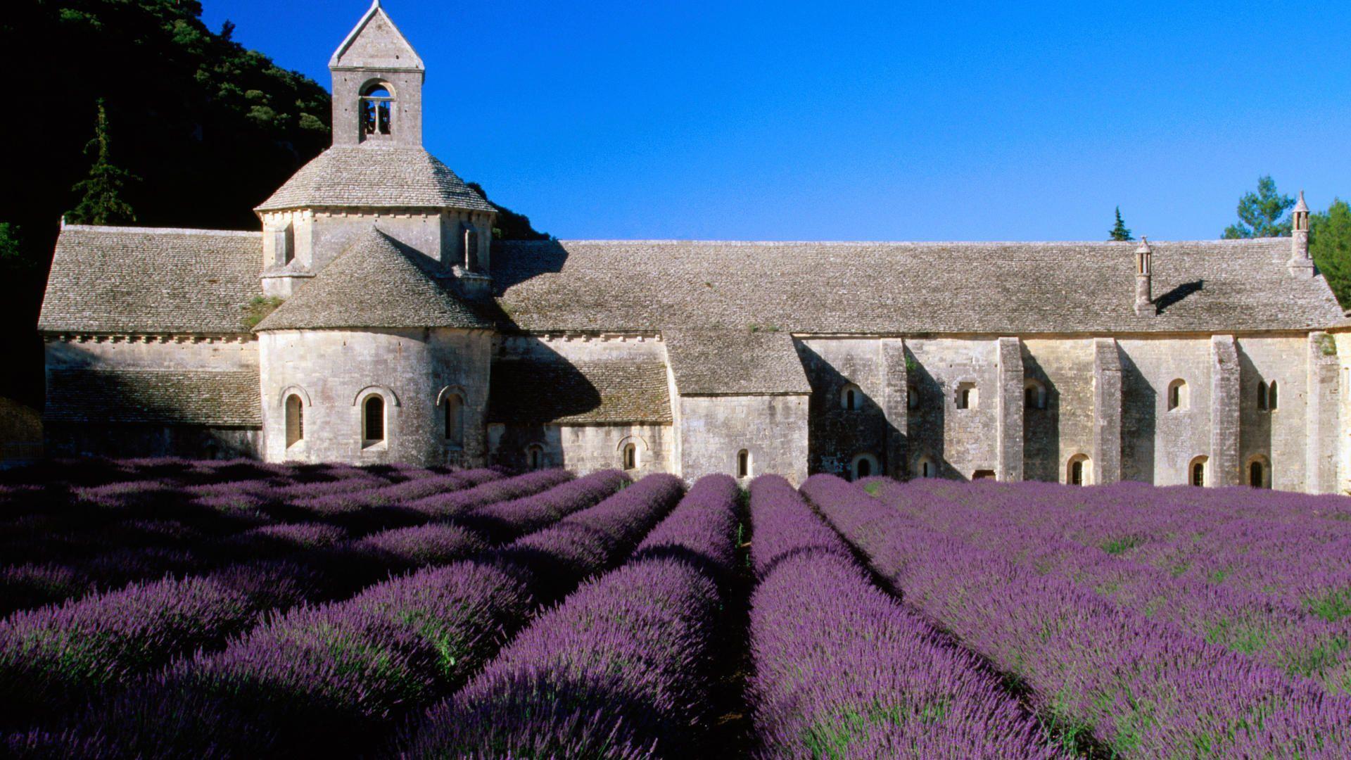 Lavender Fields Provence wallpaper. Lavender Fields in Provance